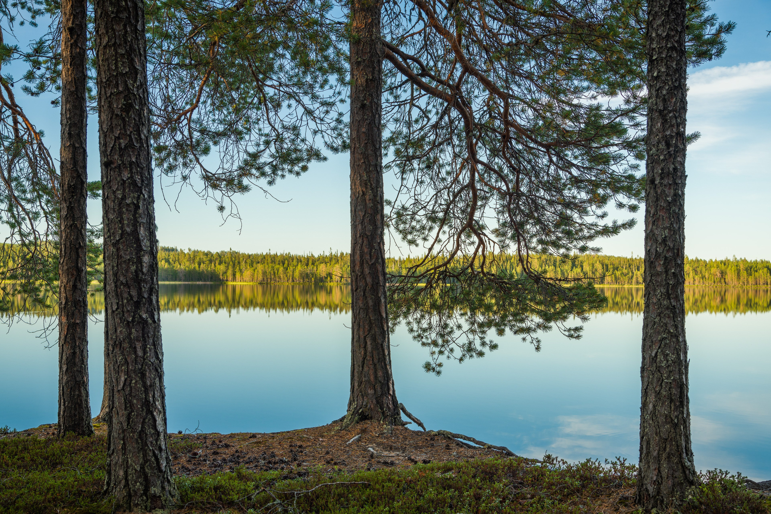 Лето. Северные Ночи