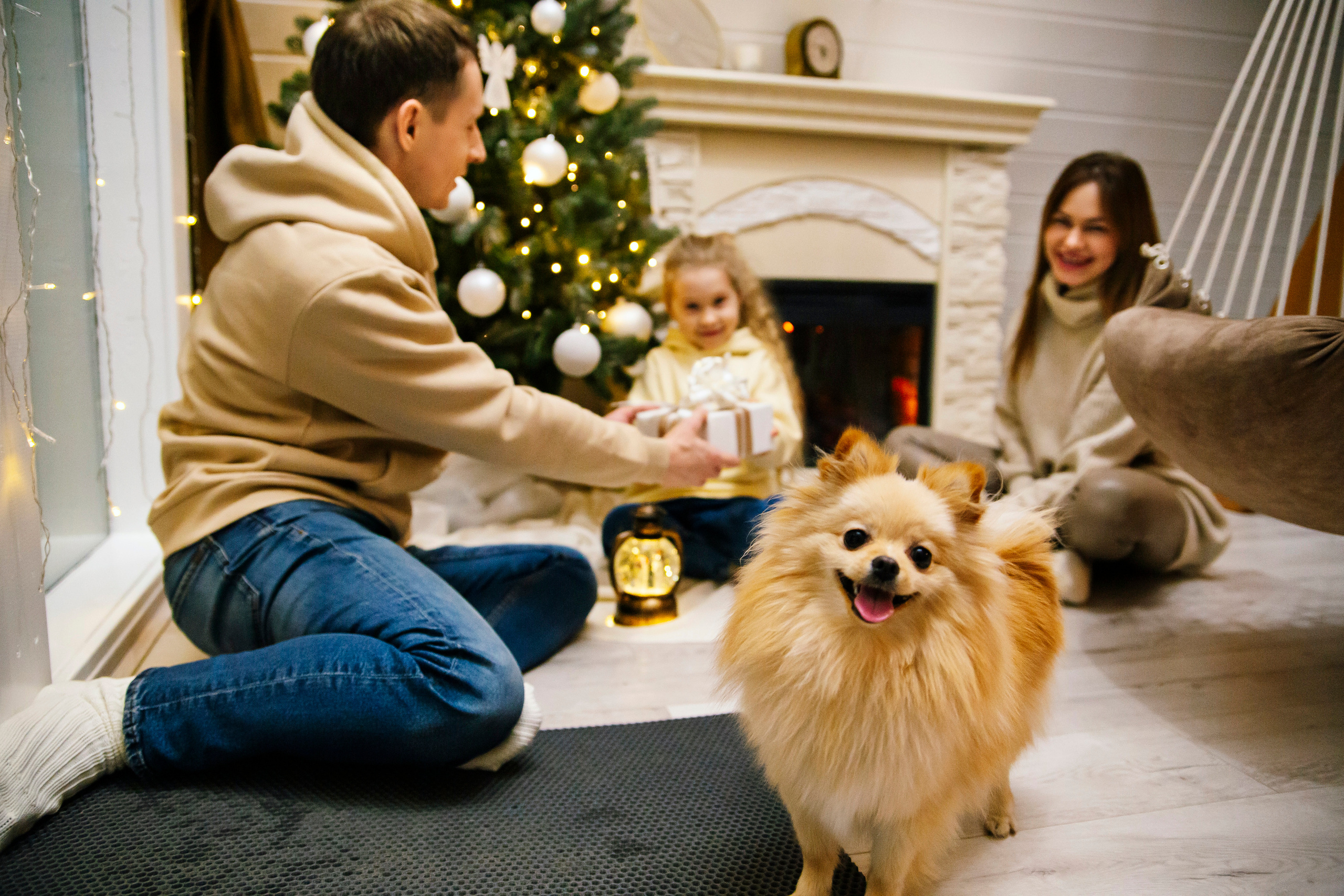 Новогодняя фотосессия в домике. Свадебный, семейный фотограф, контент съёмка. Екатеринбург. Елена Граф