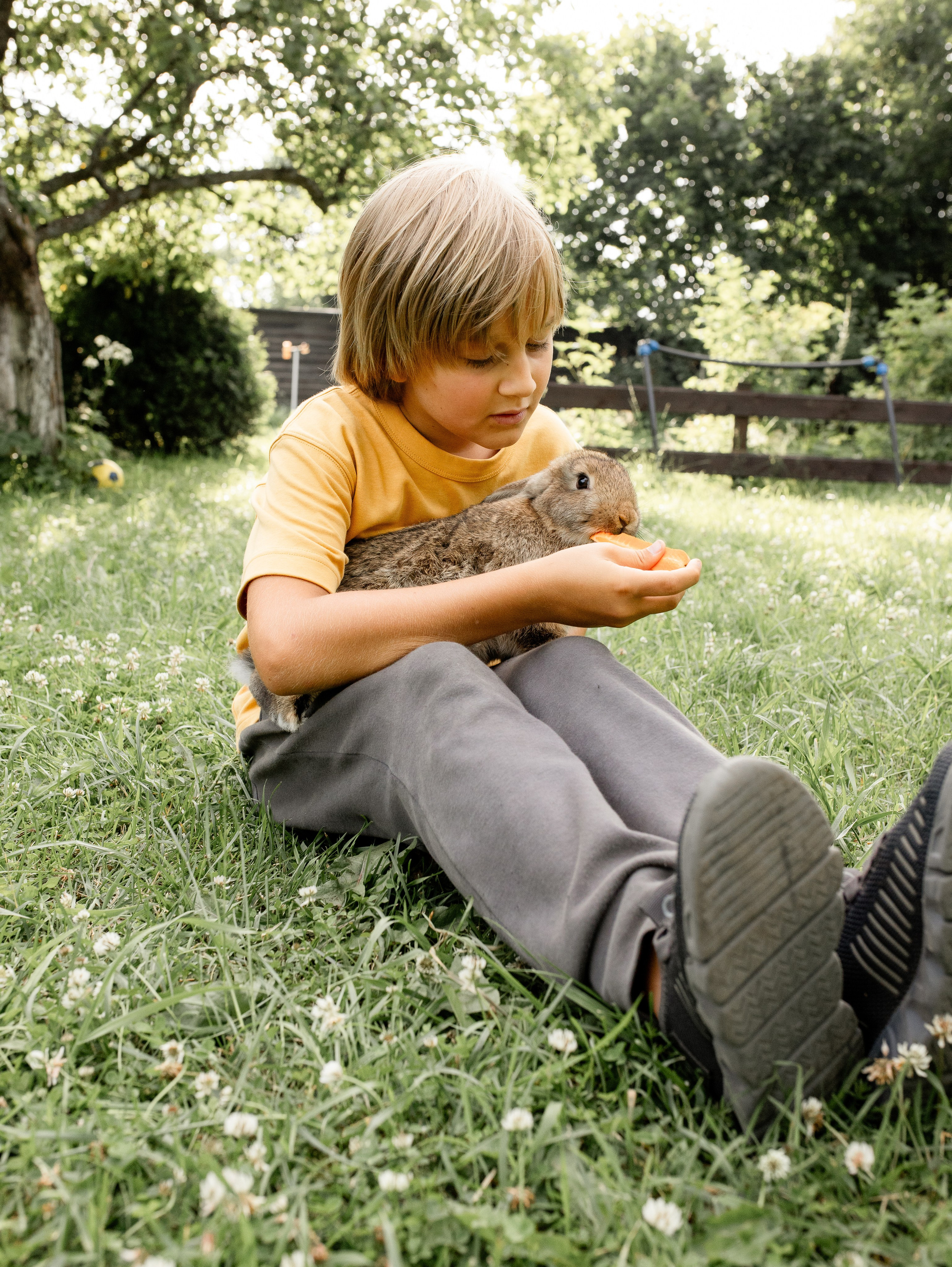 Кролики 2023. Семейный фотограф в Санкт-Петербурге Ирина Иванова