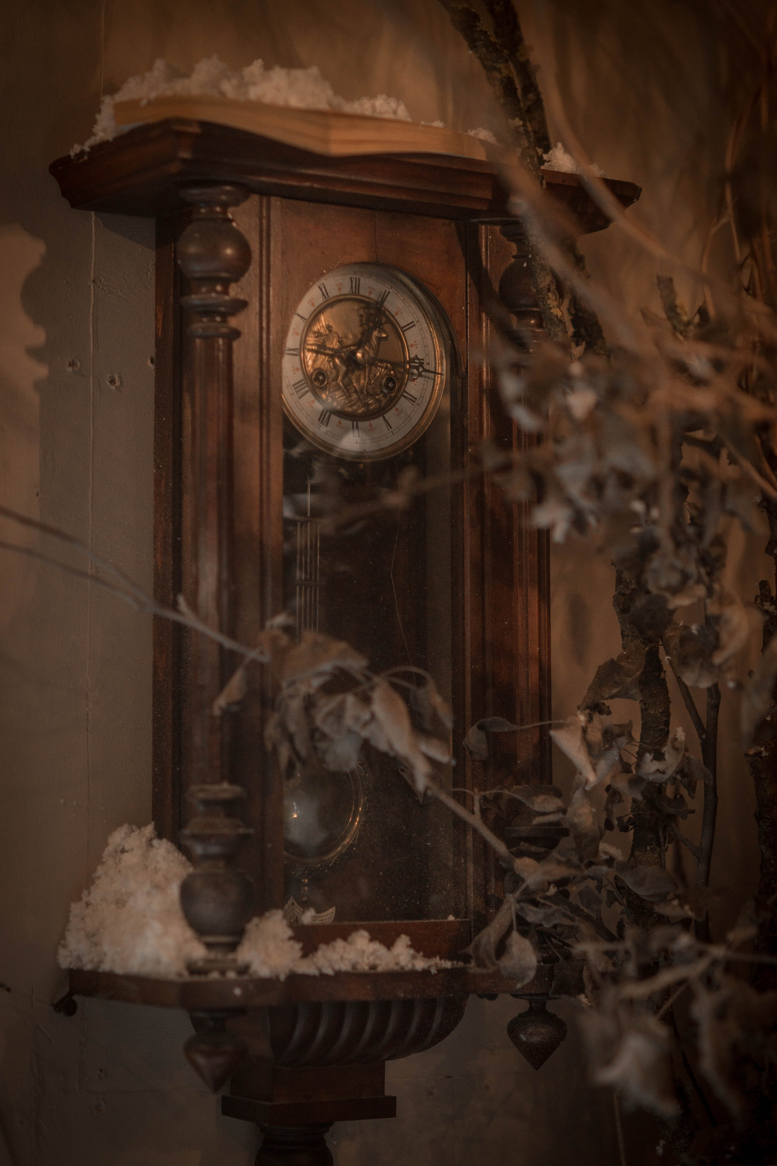 Алиса в стране чудес. Семейный и детский фотограф Троицк Москва