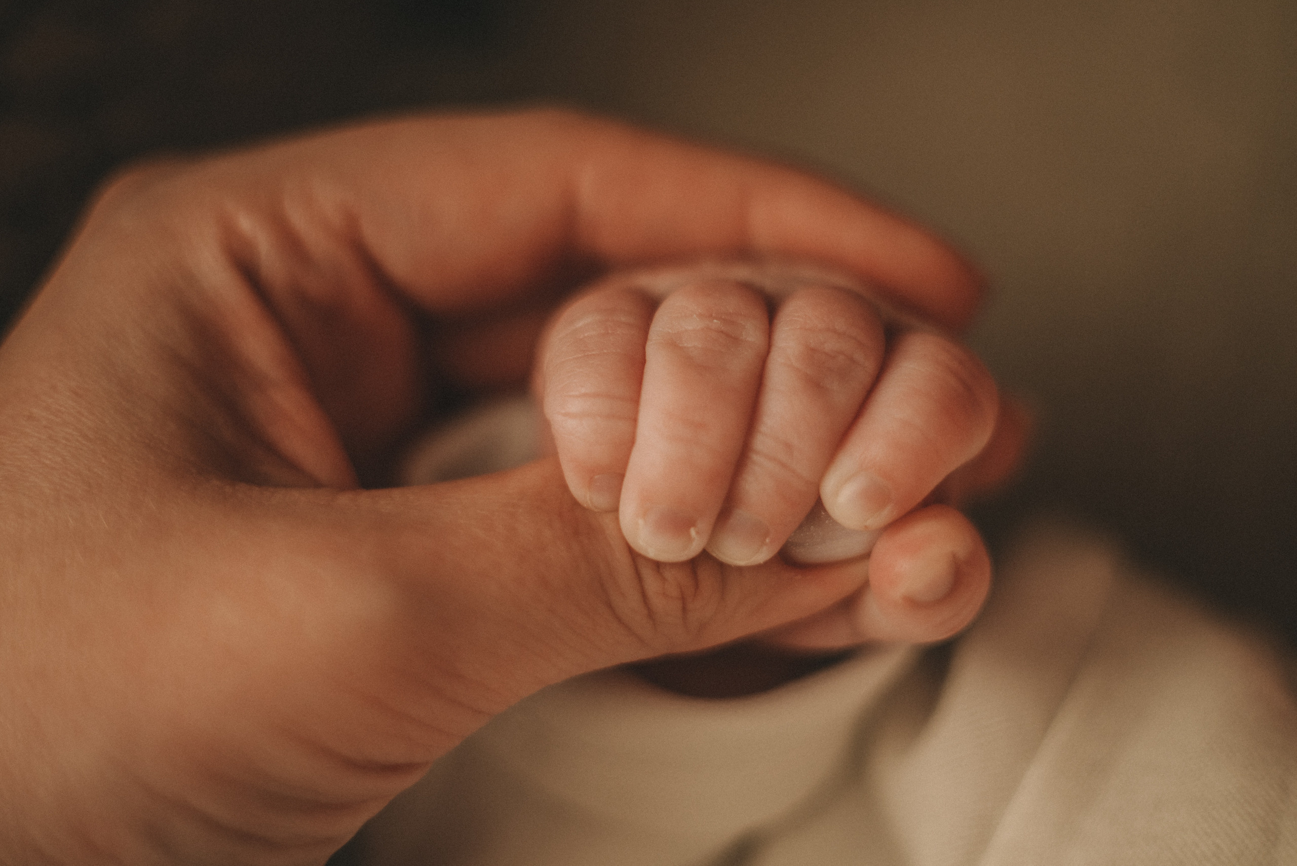 Матвей. Фотограф новорожденных в стиле lifestyle в Воронеже Юлия Ключникова