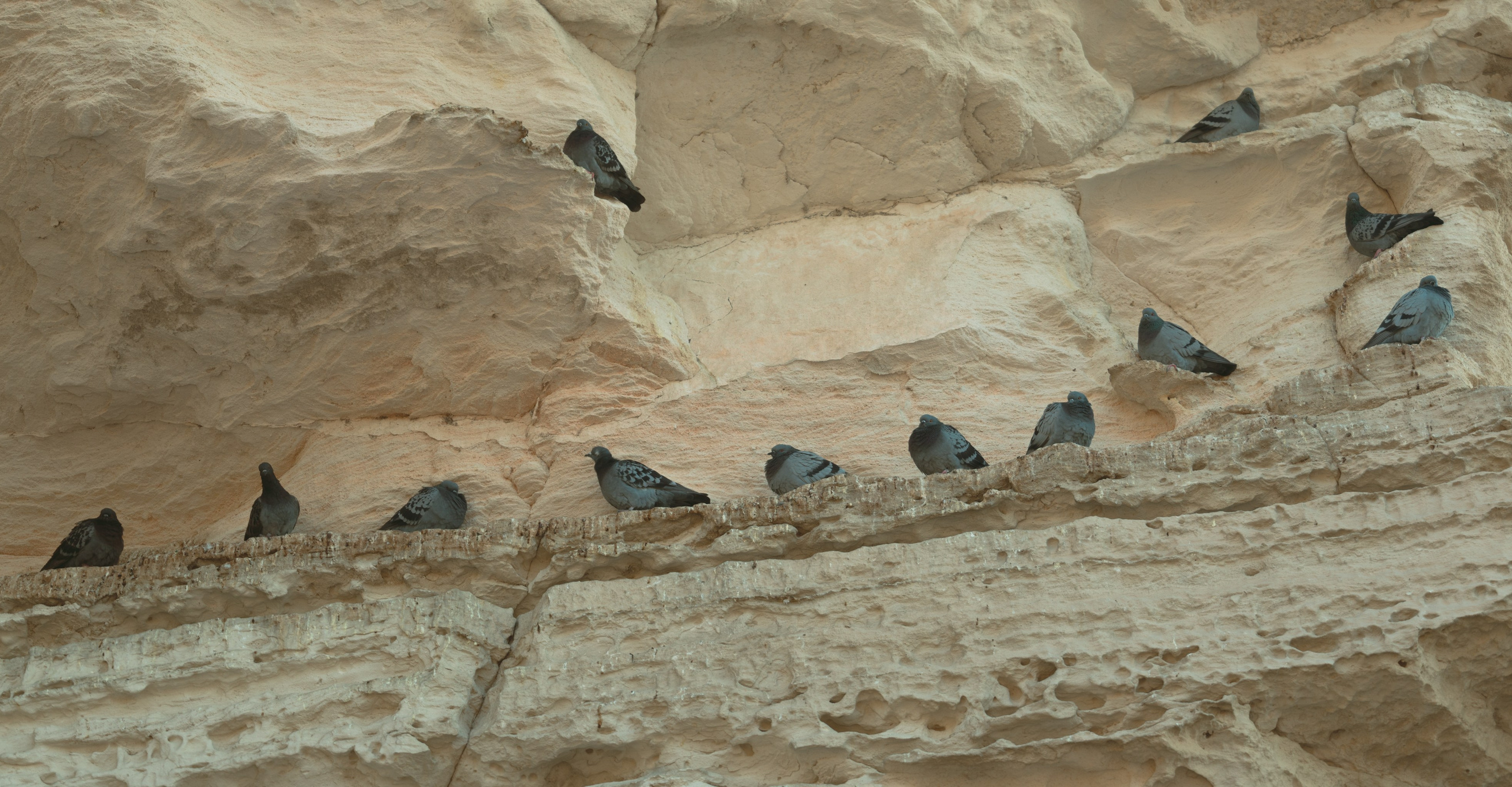 Актау, Ноябрь 2024