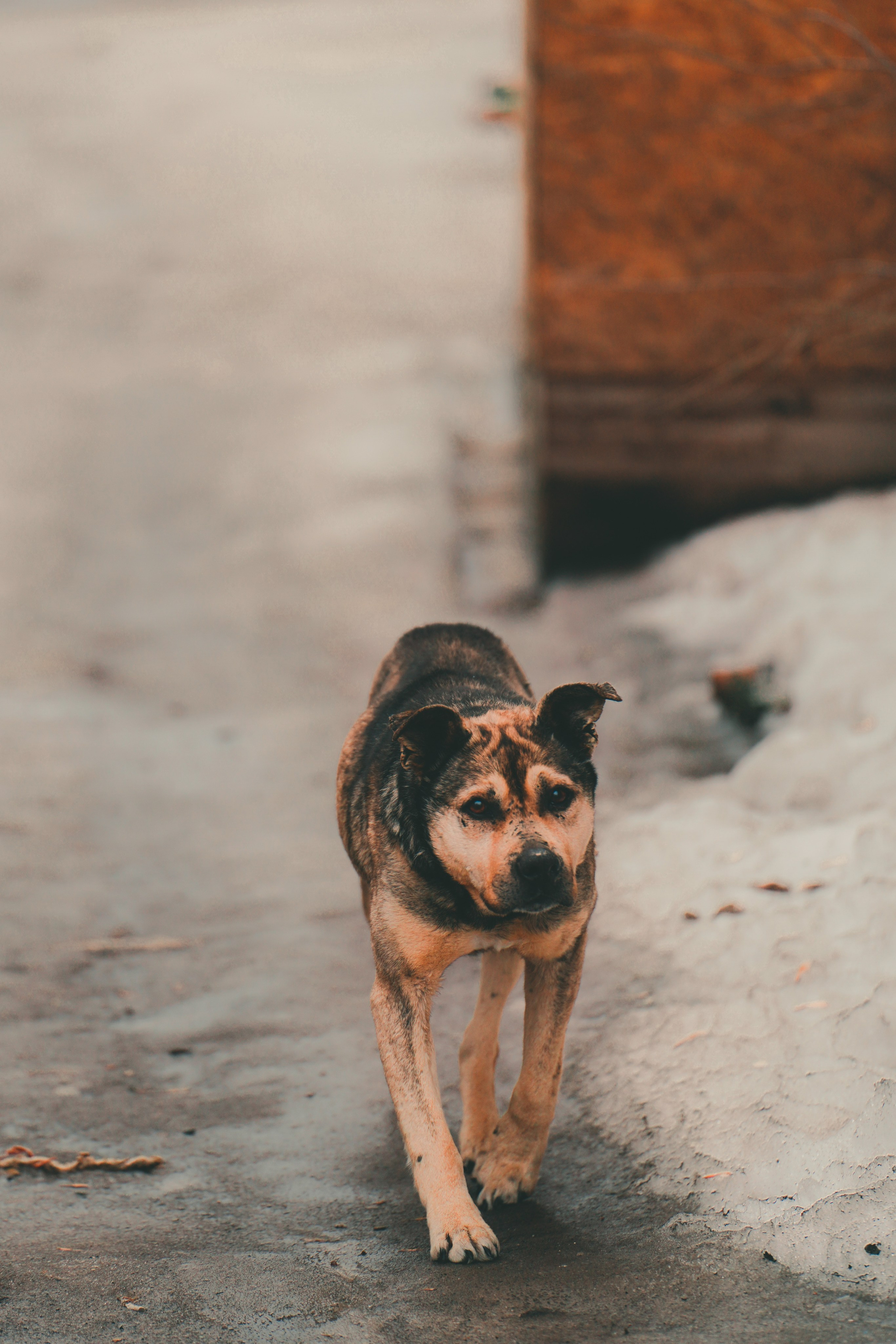 Кунгур, Март 2022