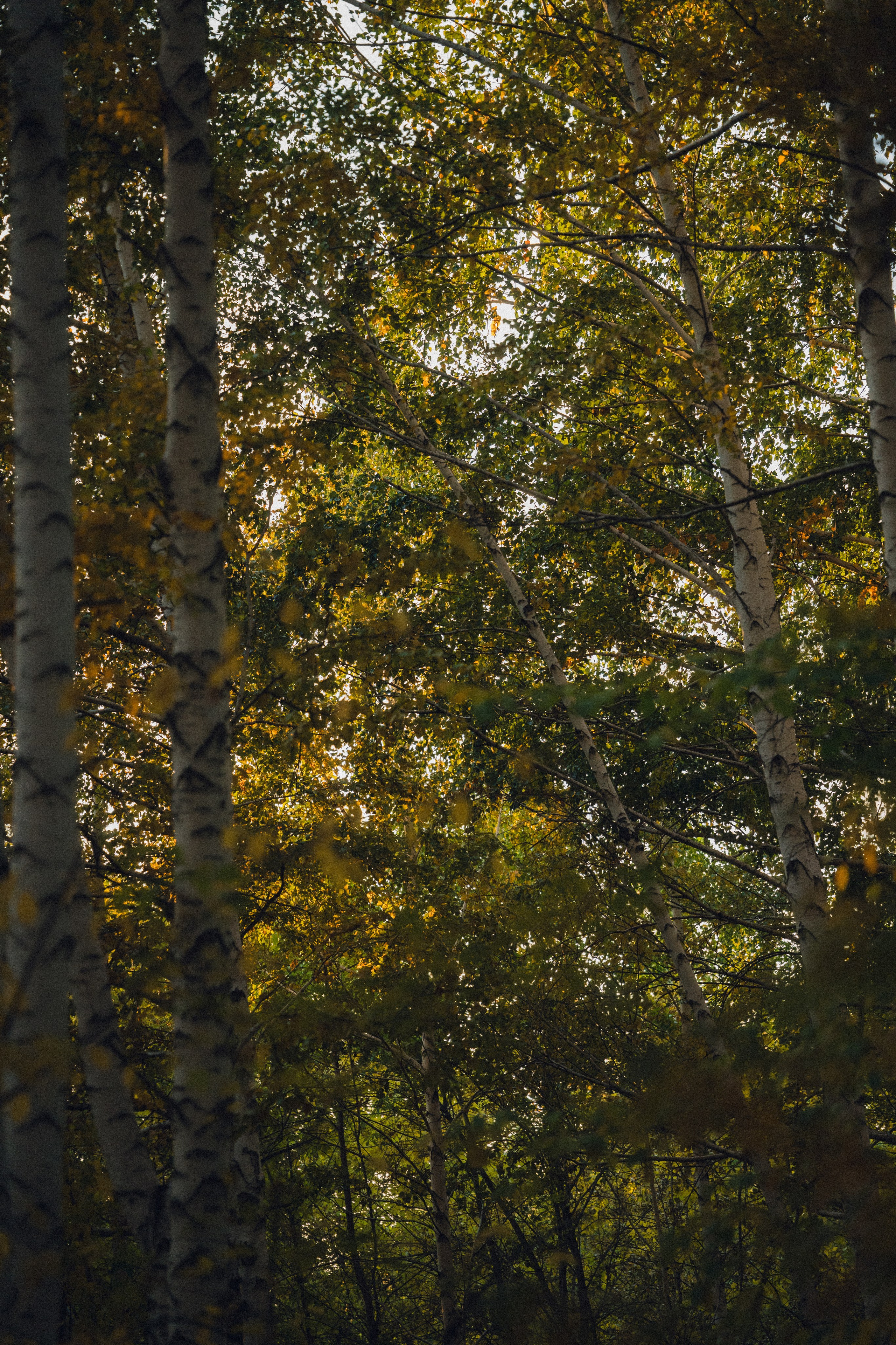 Усть-Каменогорск, Сентябрь 2024