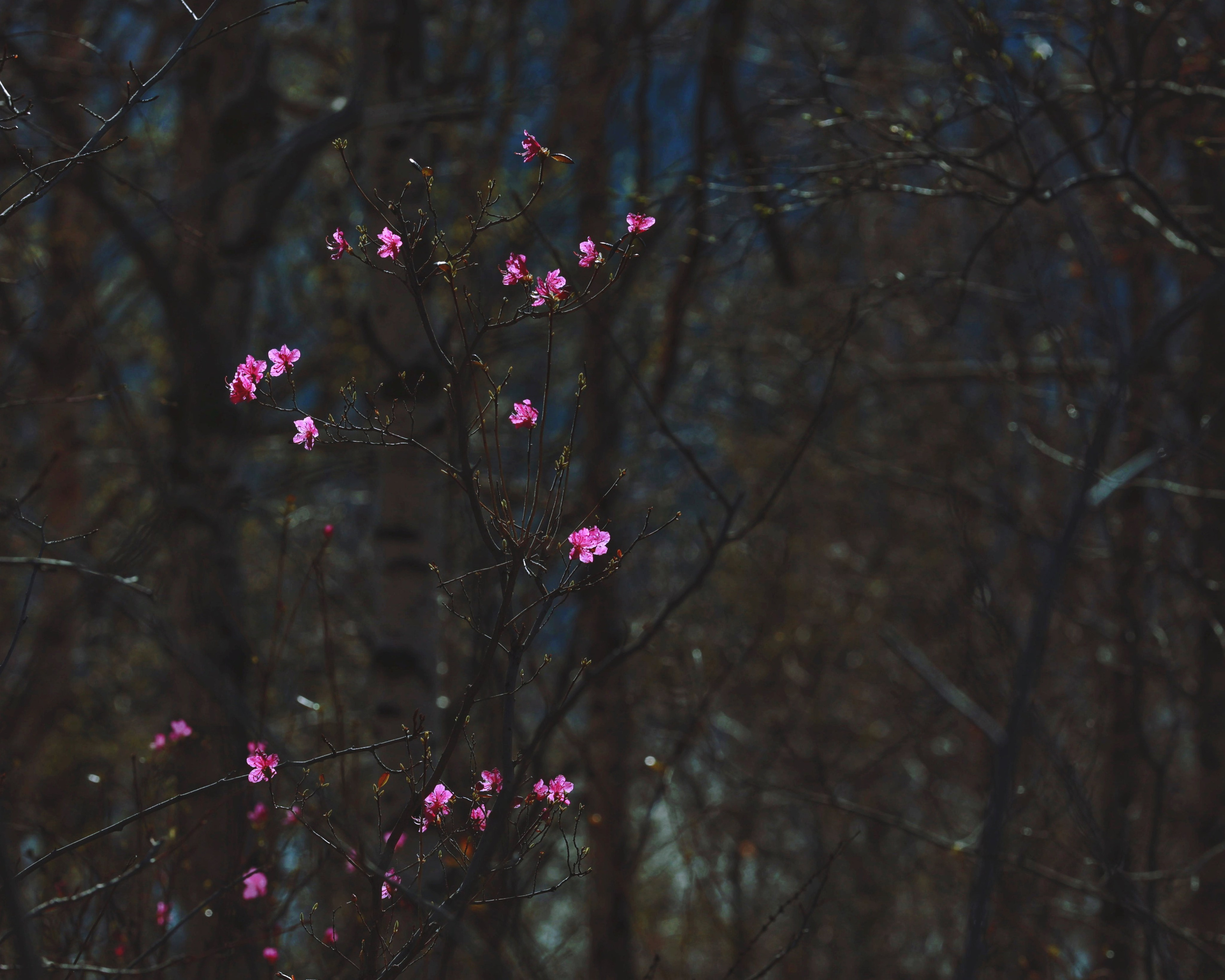 2023. Тащилин Сергей. Фотографии. Жизнь. Хобби