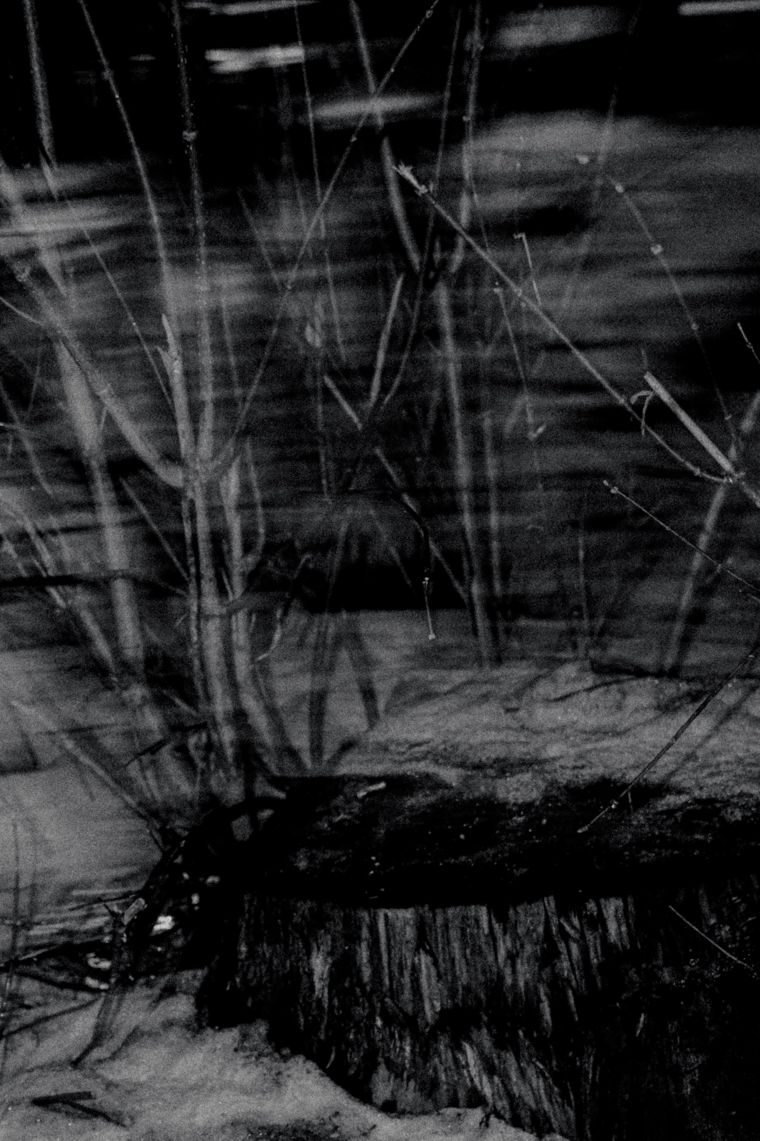 Город Н. Предание о руинах: АРХИВ ПУСТОТЫ