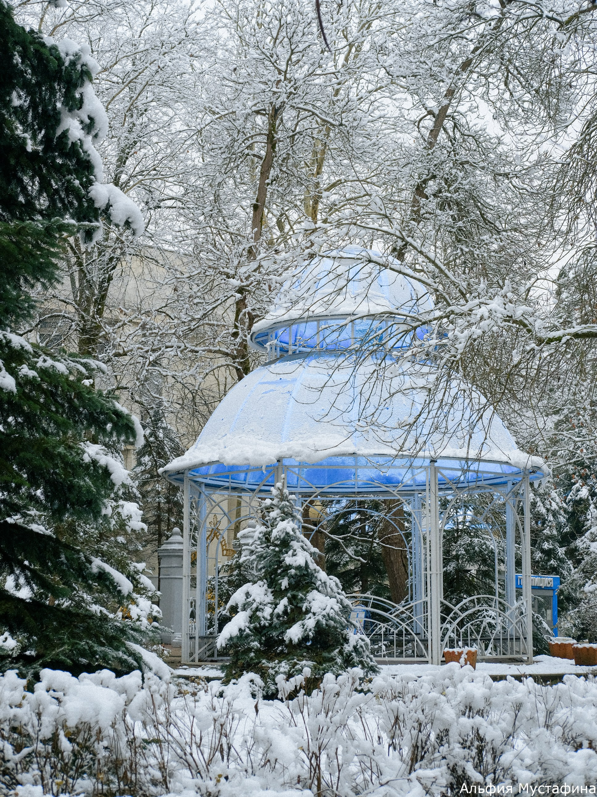 Фотосессия