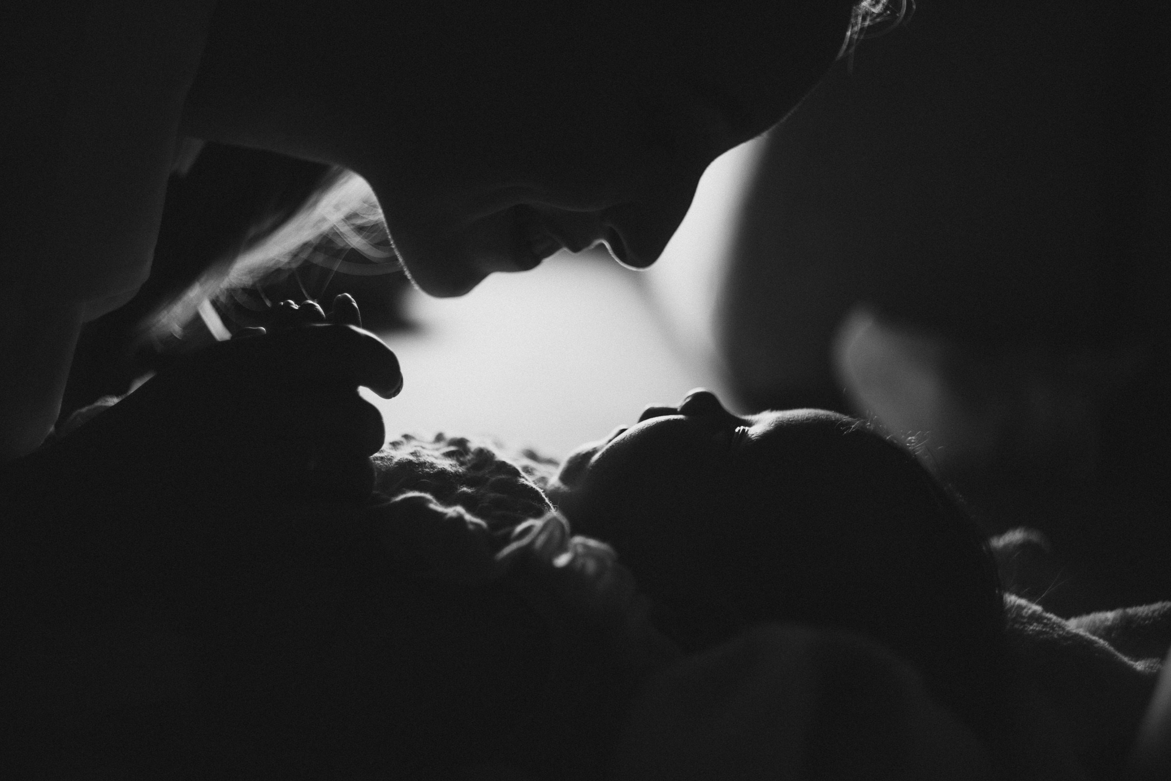 Там где кошки поют…. Свадебный и семейный фотограф в Абакане Василевский Алексей