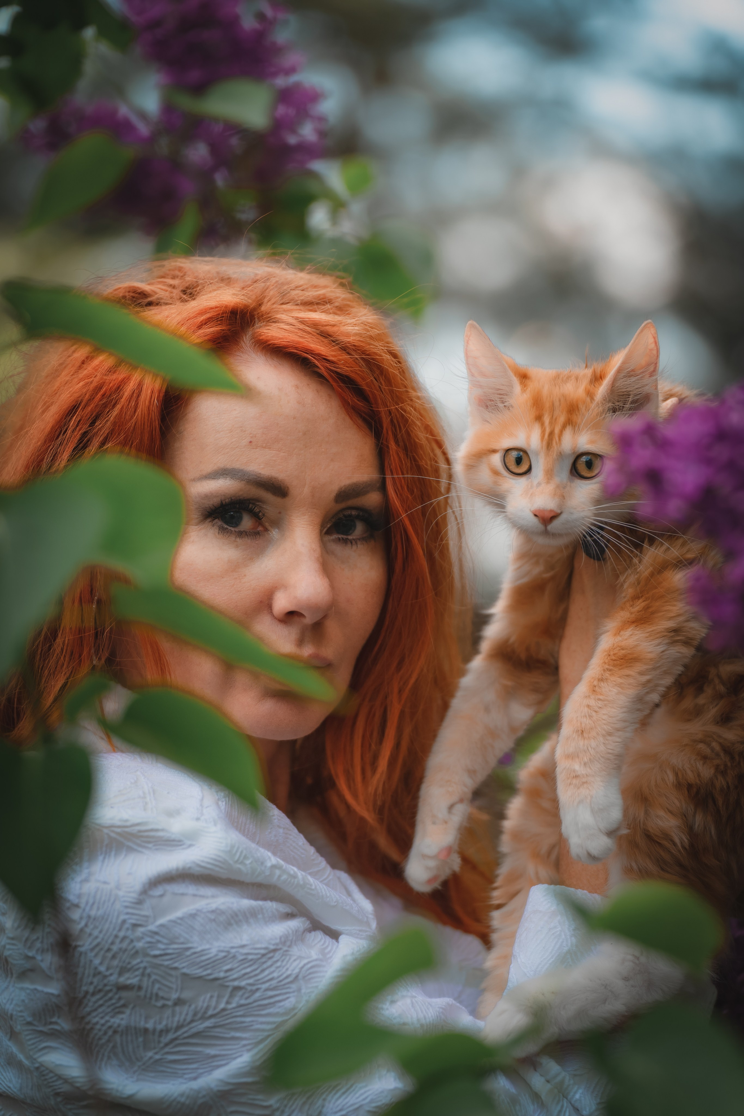 Питомник Курильских бобтейлов. Фотограф в Москве Ленарская Дарья