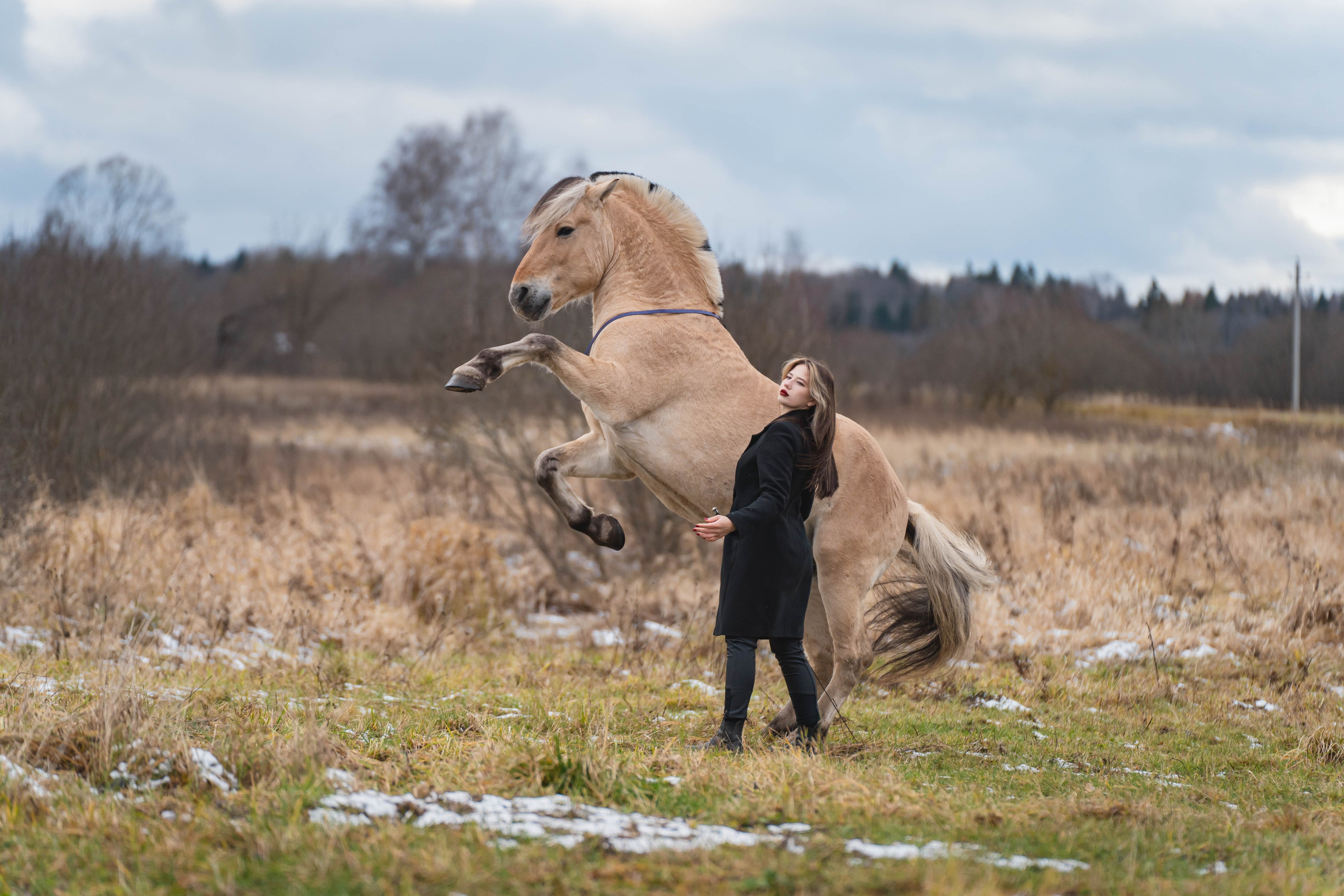 Нина, Принц и Диадем. Фотограф в Москве Ленарская Дарья