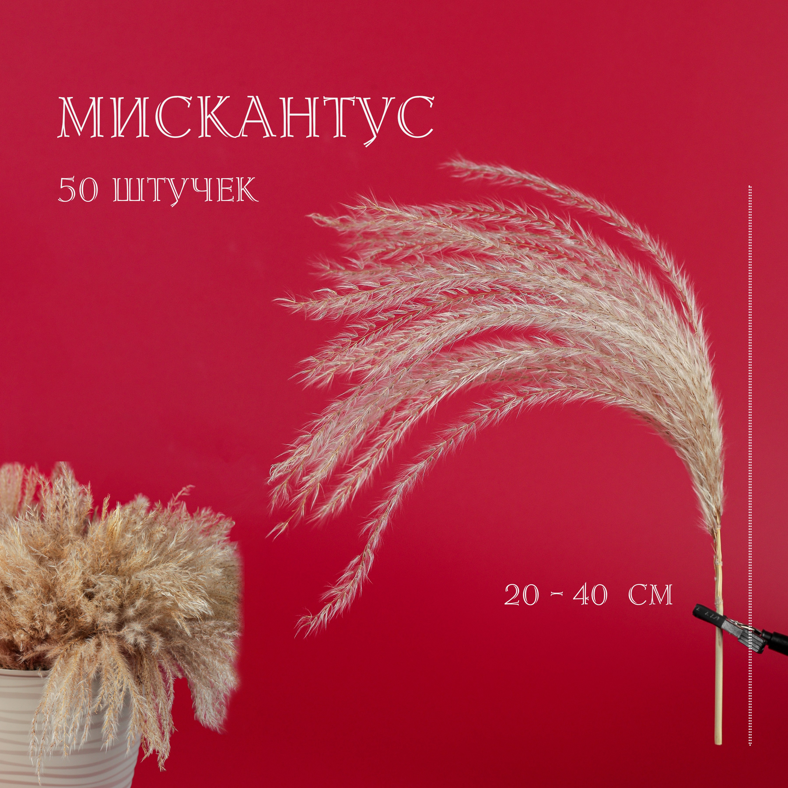 Вазочки и сухоцветы