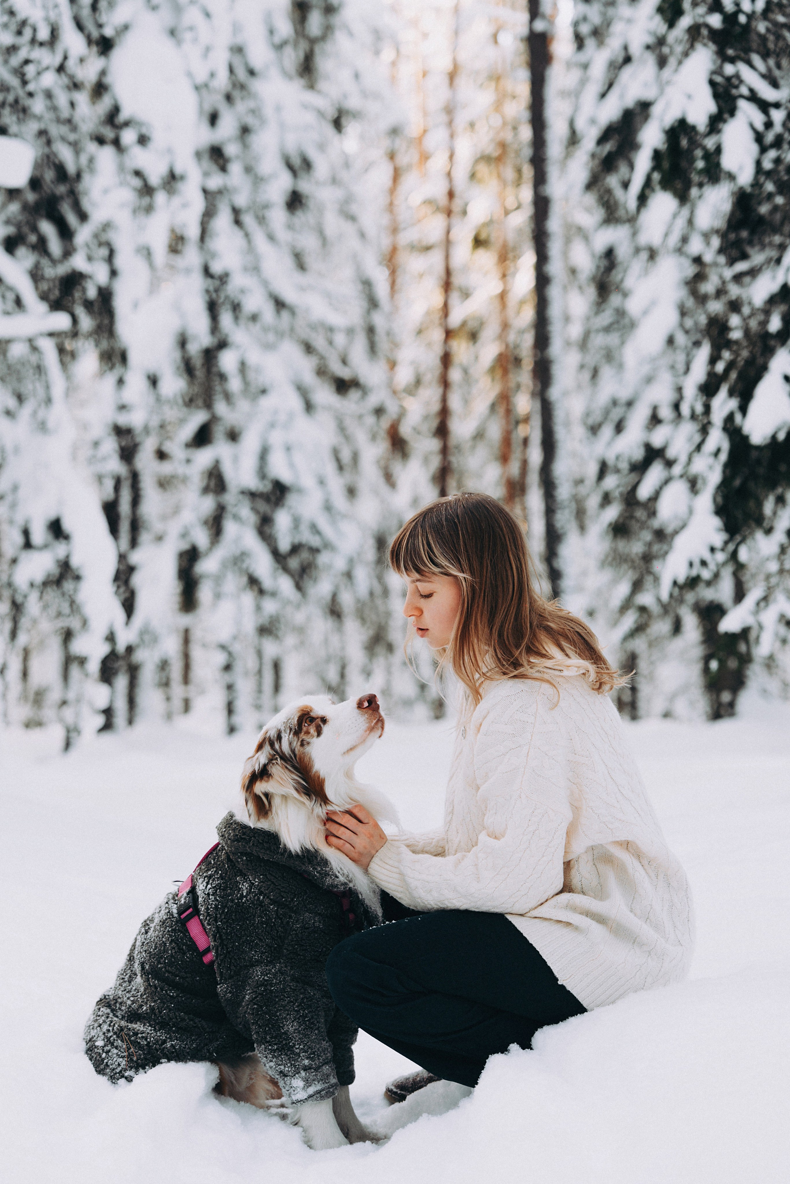 Хвостики. Главная