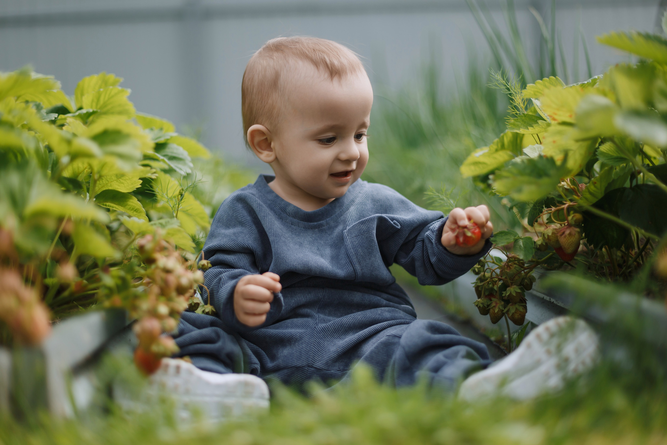 Большое Олино семейство. Профессиональный фотограф Надежда Антонова