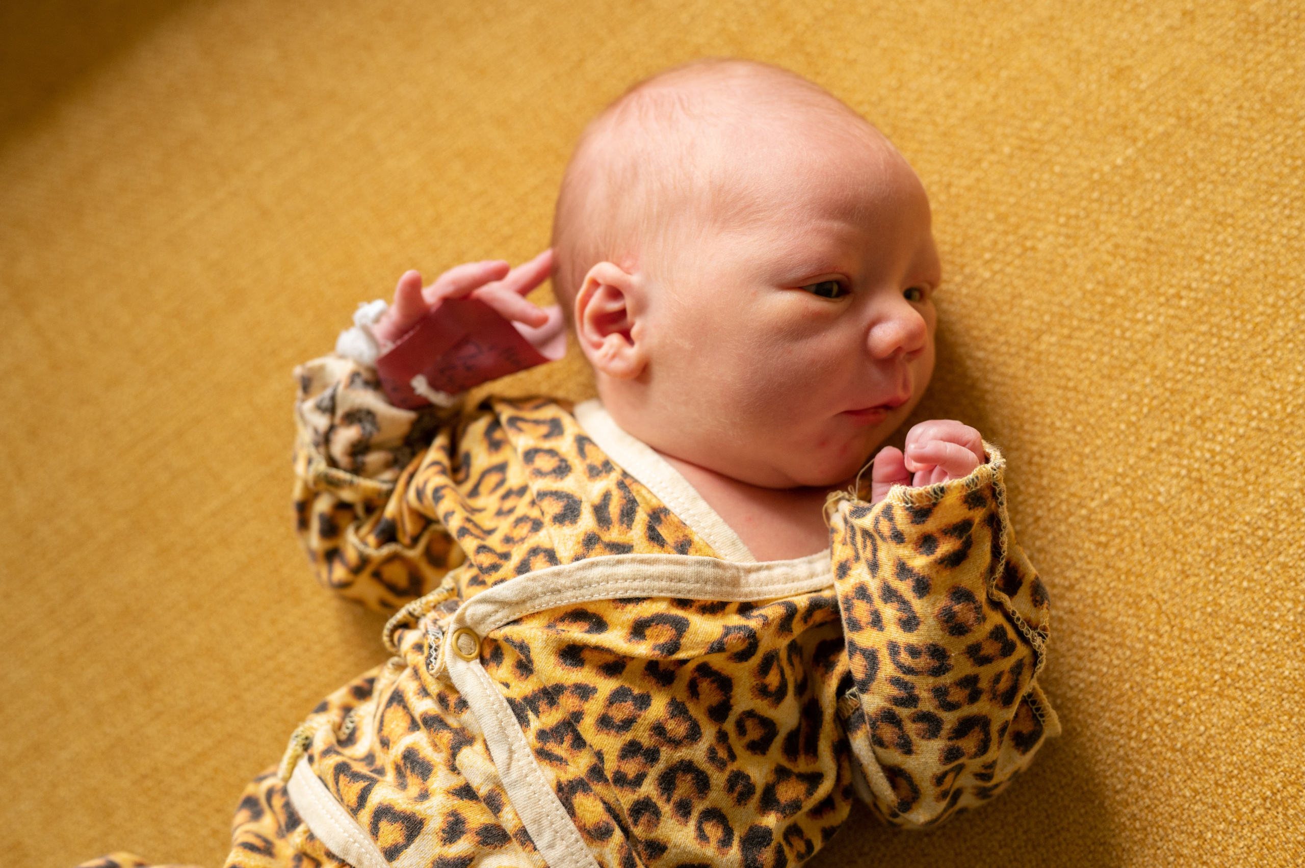 Встреча малыша дома. Фотограф новорожденных, семейный детский в Тюмени Татьяна Морозова