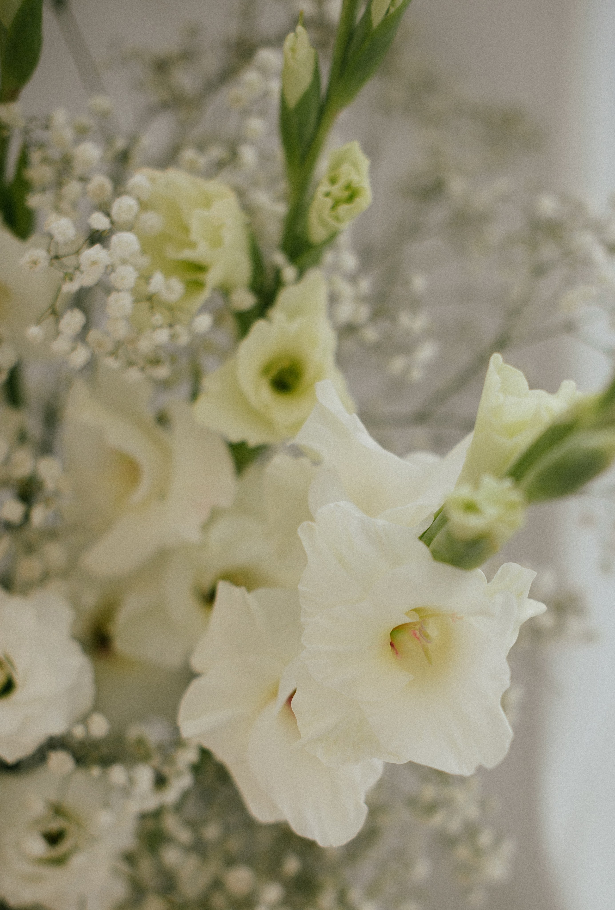 Дмитрий и Ангелина (г. Севастополь). Свадебный, женский, семейный фотограф в Севастополе Юлия Мошенко