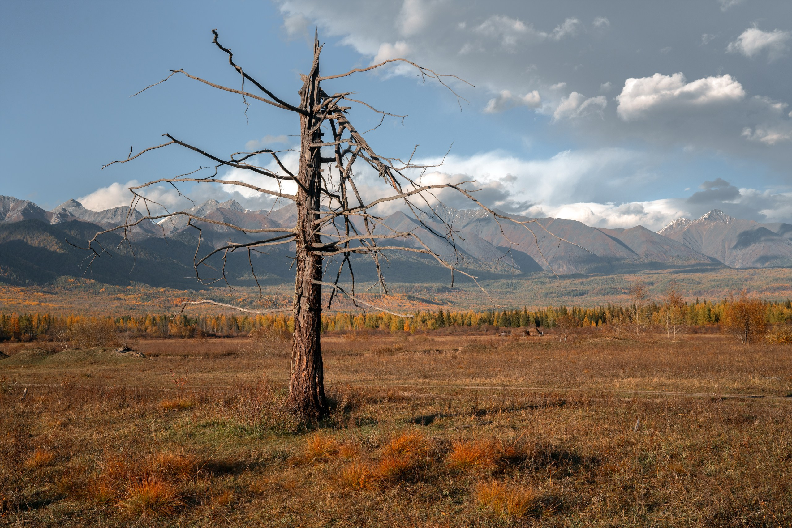 Бурятия. Фотограф в Красноярске Нерозя Александр. Пейзаж, природа, портрет