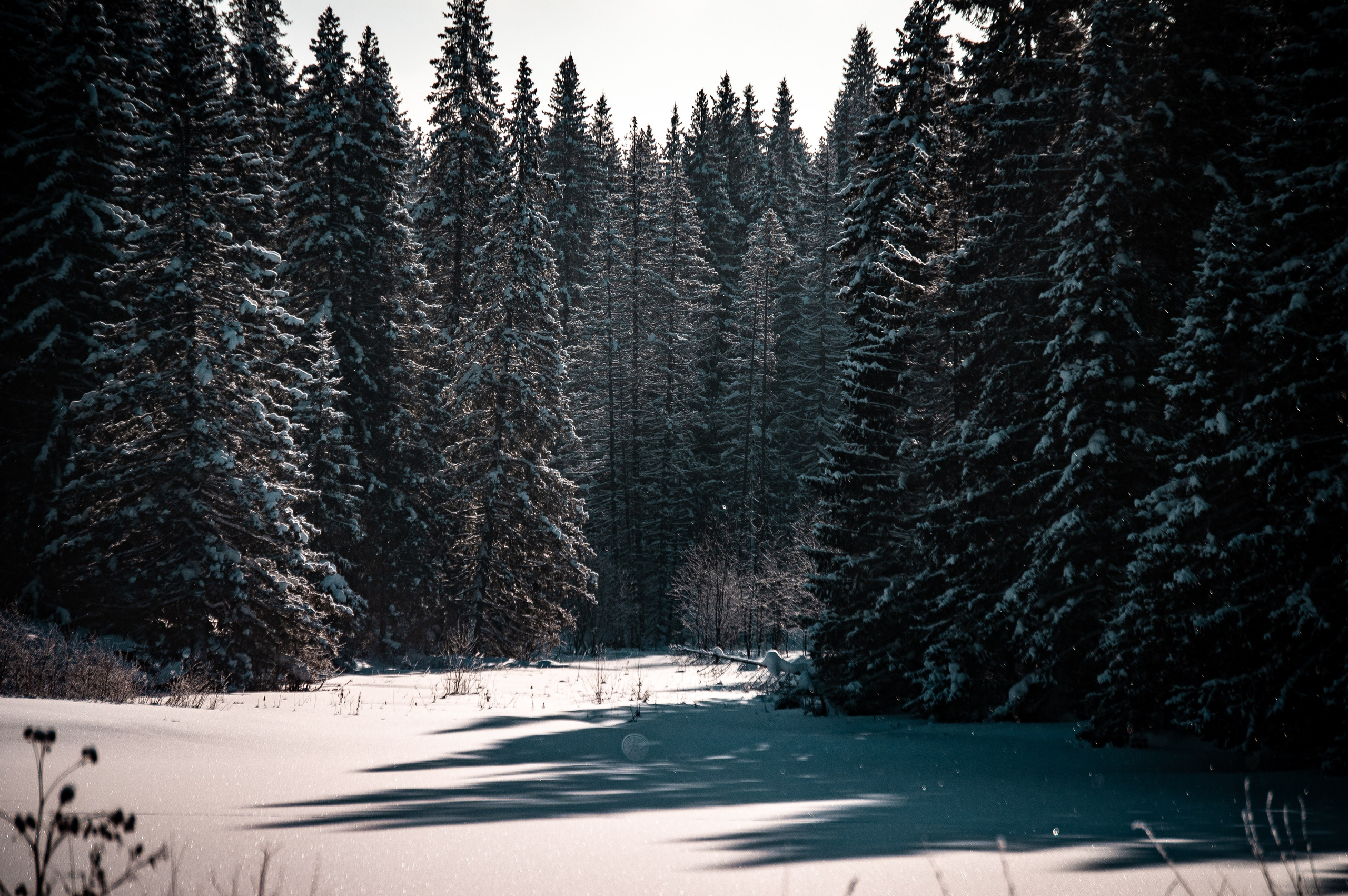 Эстетика еб{деревней}й. Место {не}банальных фото