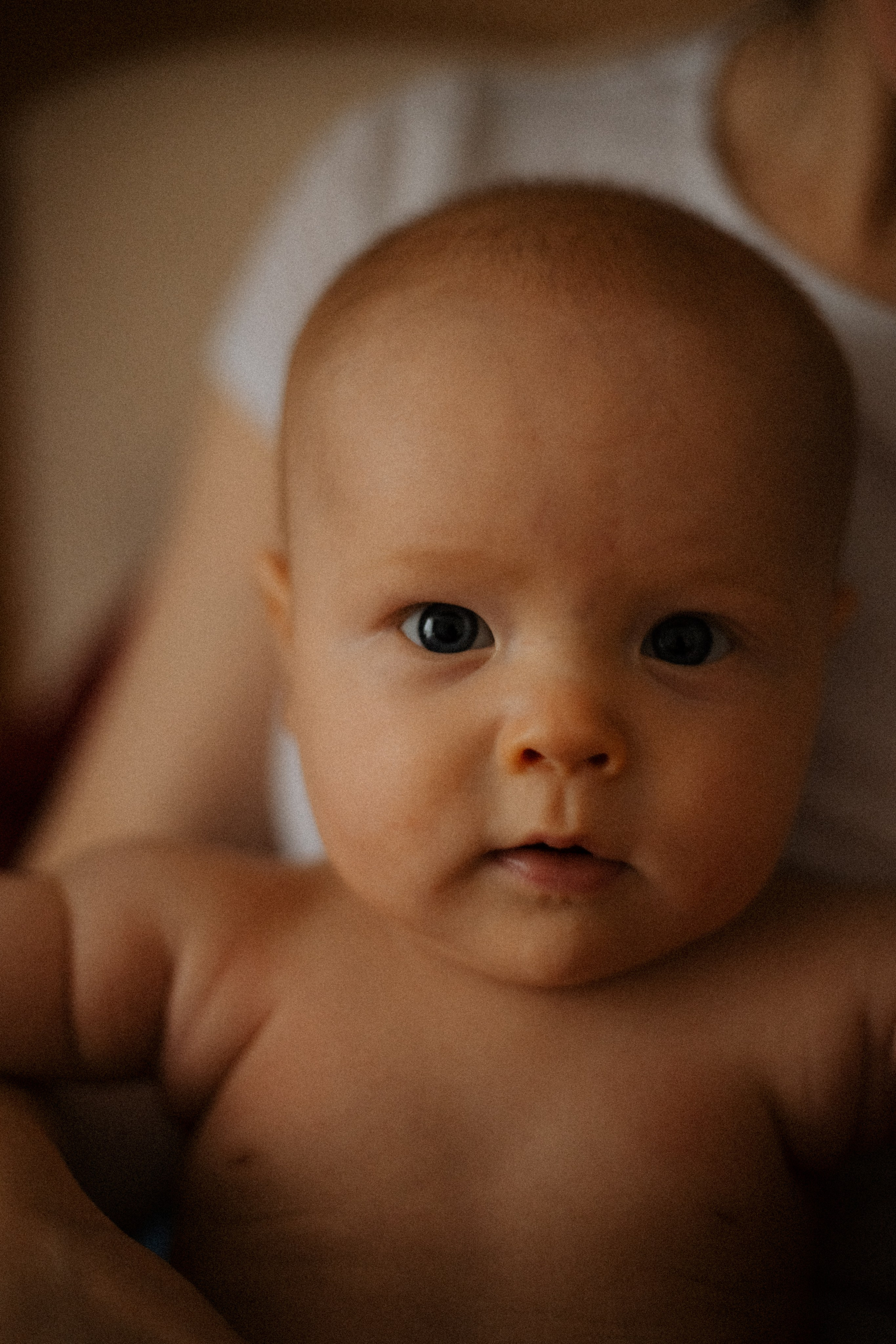 Портфолио. Семейный фотограф Виктория Потехина Москва