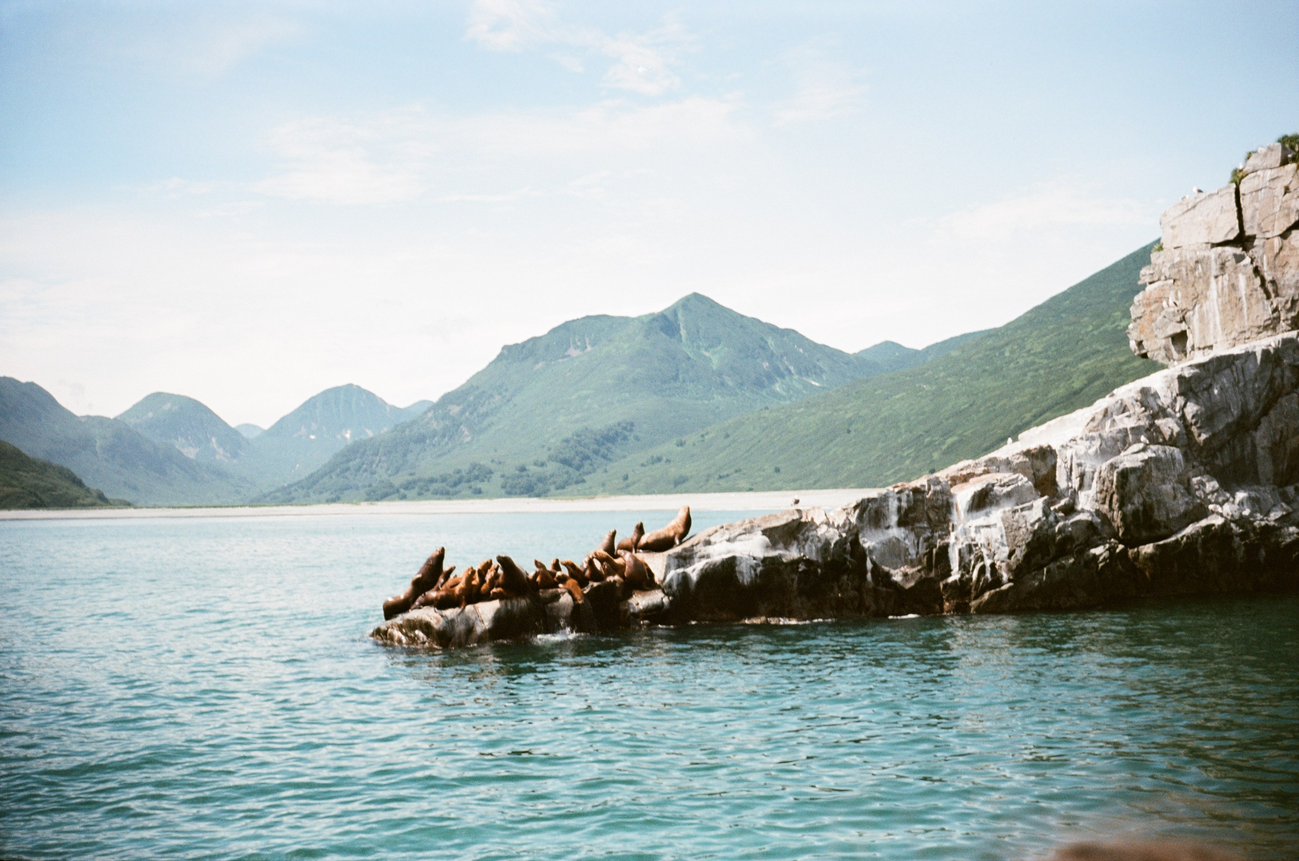 Камчатка на пленку. Travel-фотограф Ирина Милинцова