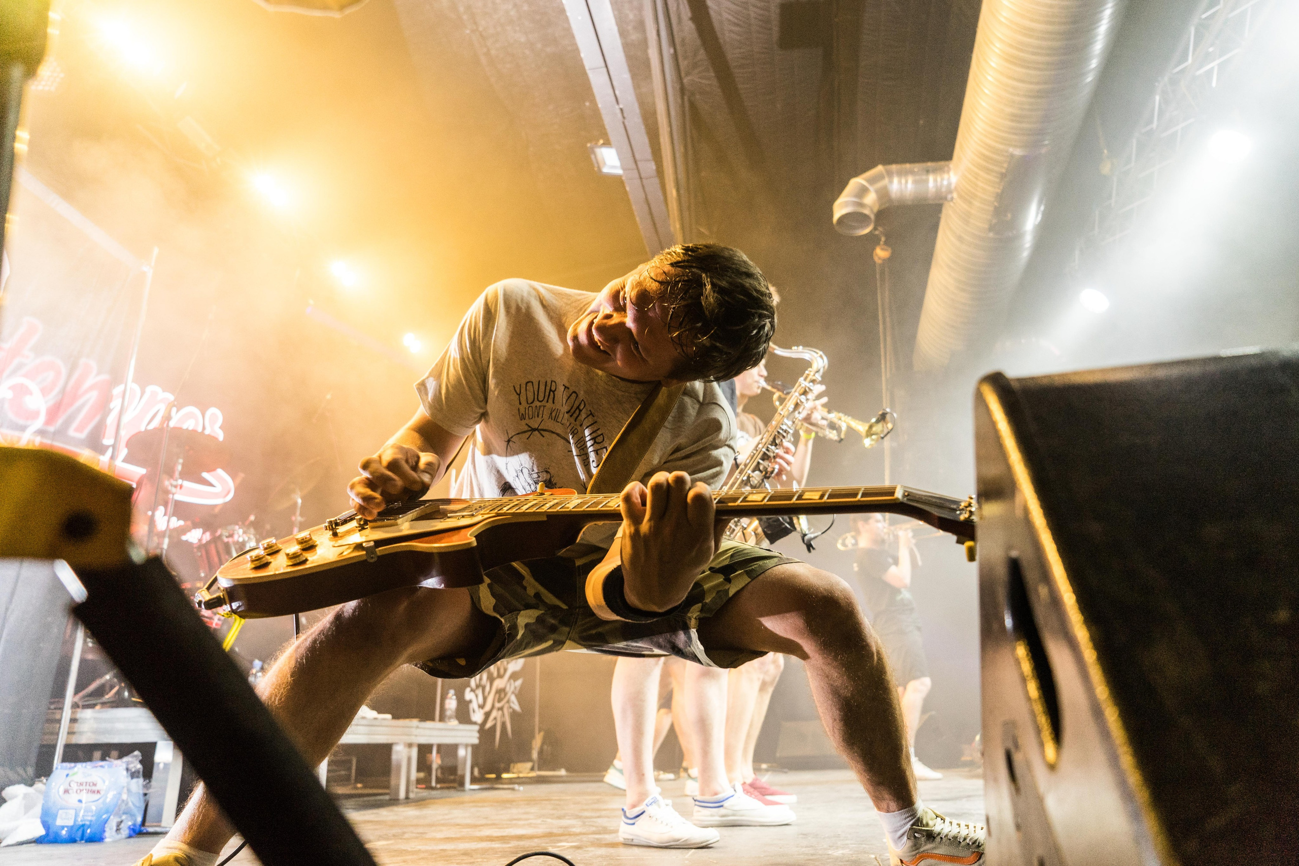 Distamper. Твой фотограф — Полосатый кот