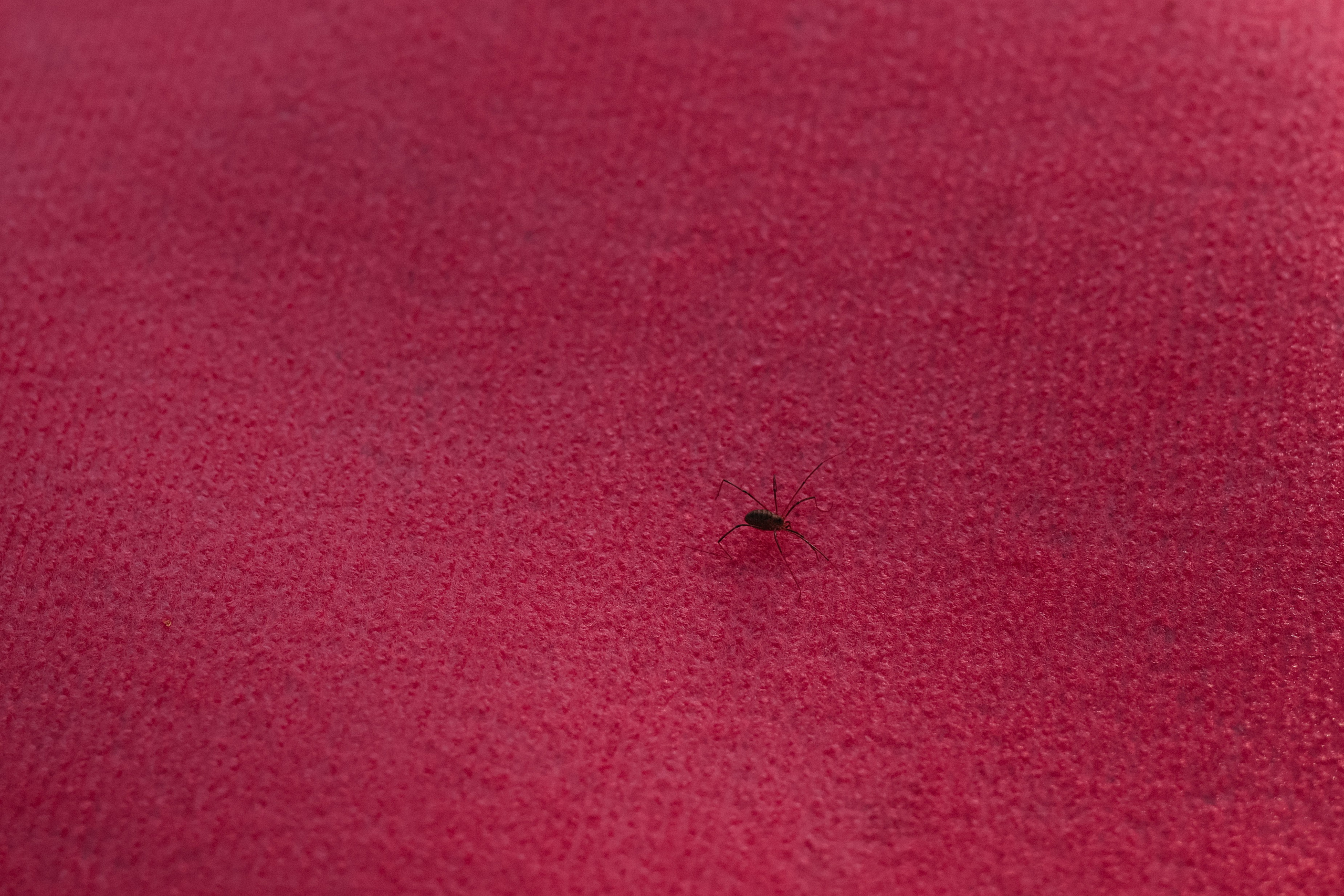 Wedding day Влад и Лиза. Свадебный фотограф Полина Мишуринская