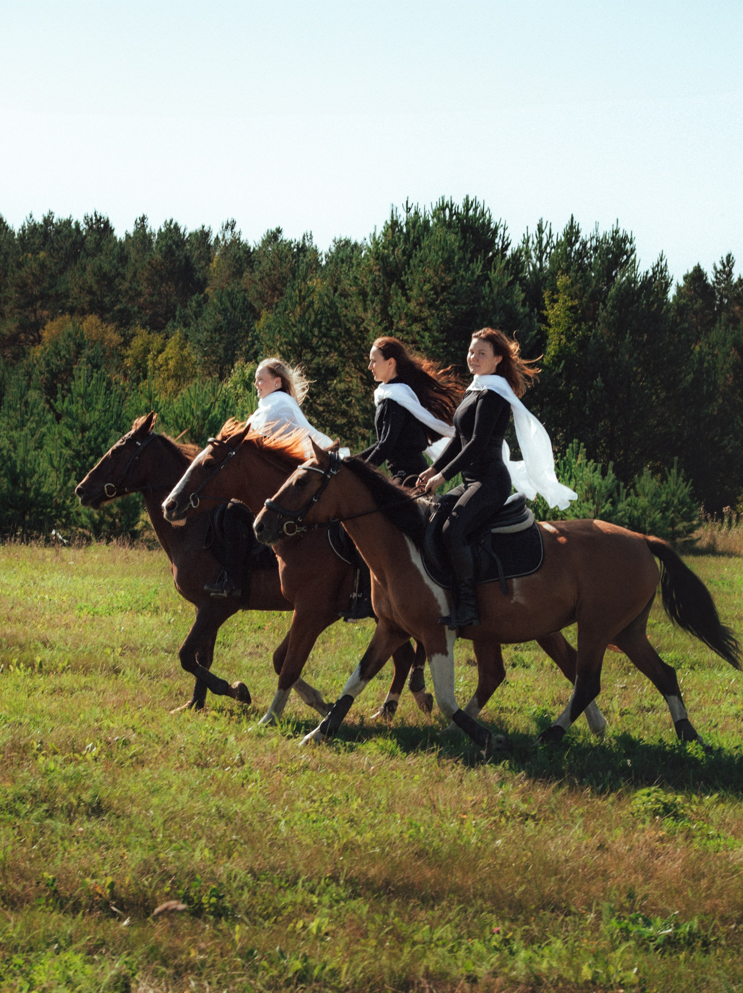 Съемка с лошадью Иркутск Иркутская область. Сайт фотографа Елены Коноваловой Иркутск
