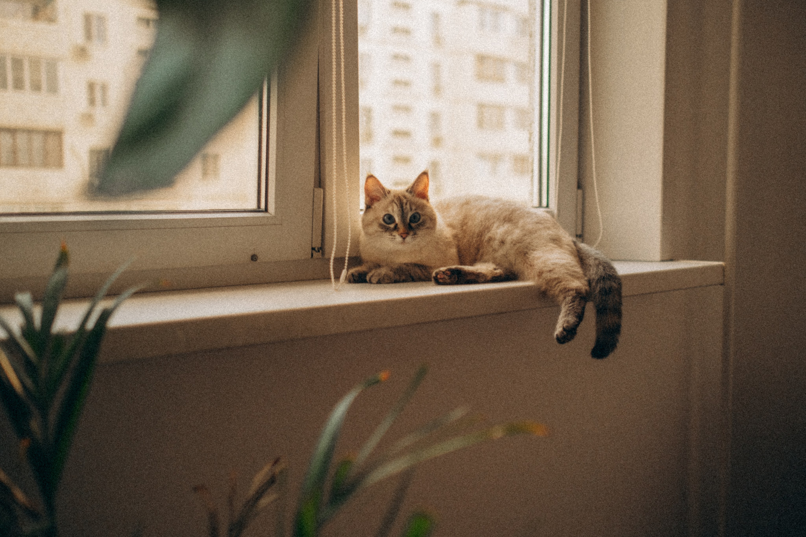 Настя и Максим. Екатерина Архипова фотограф в Санкт-Петербурге