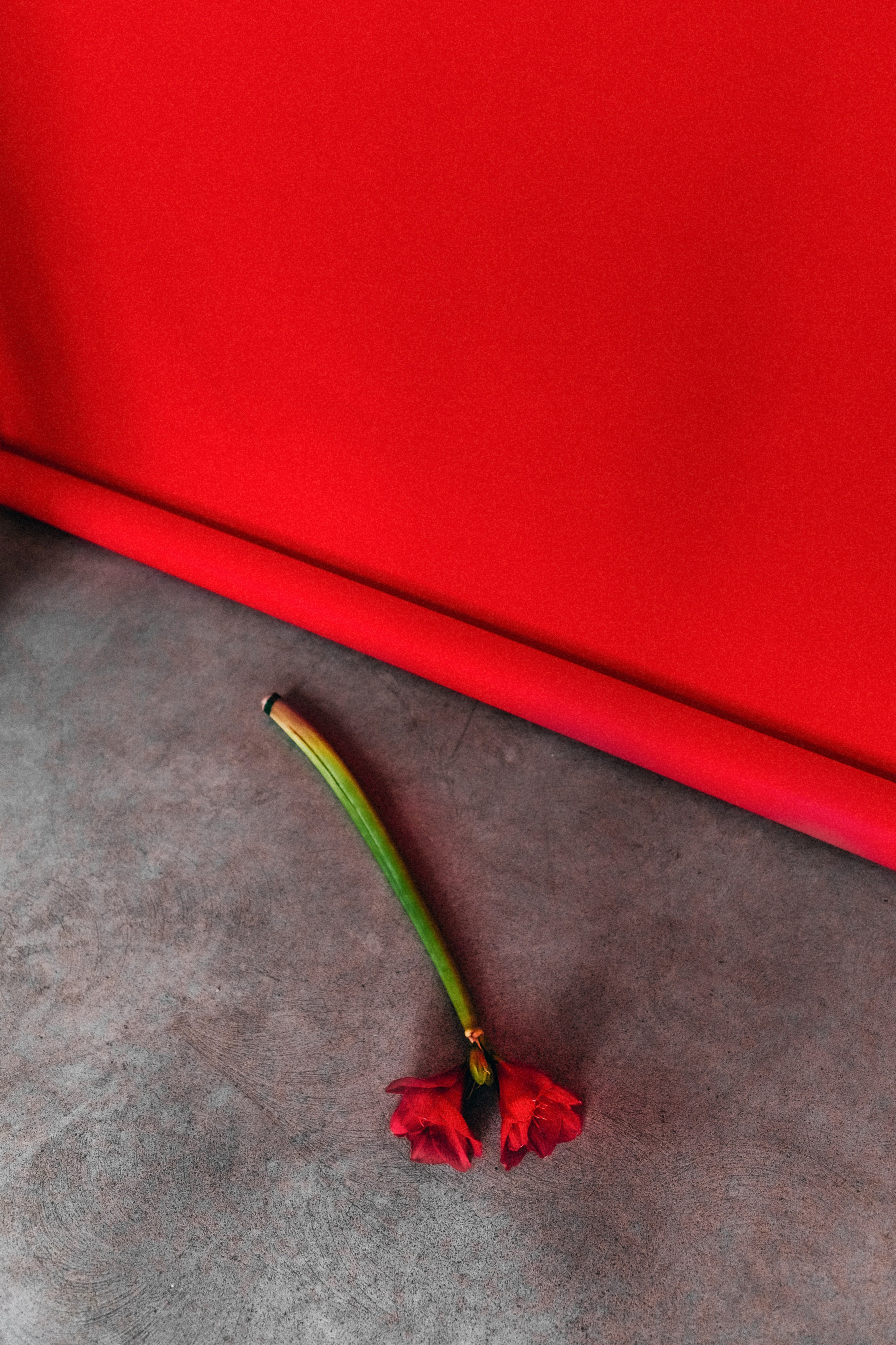 Ангелина. Фотограф в Москве Ольга Сатони