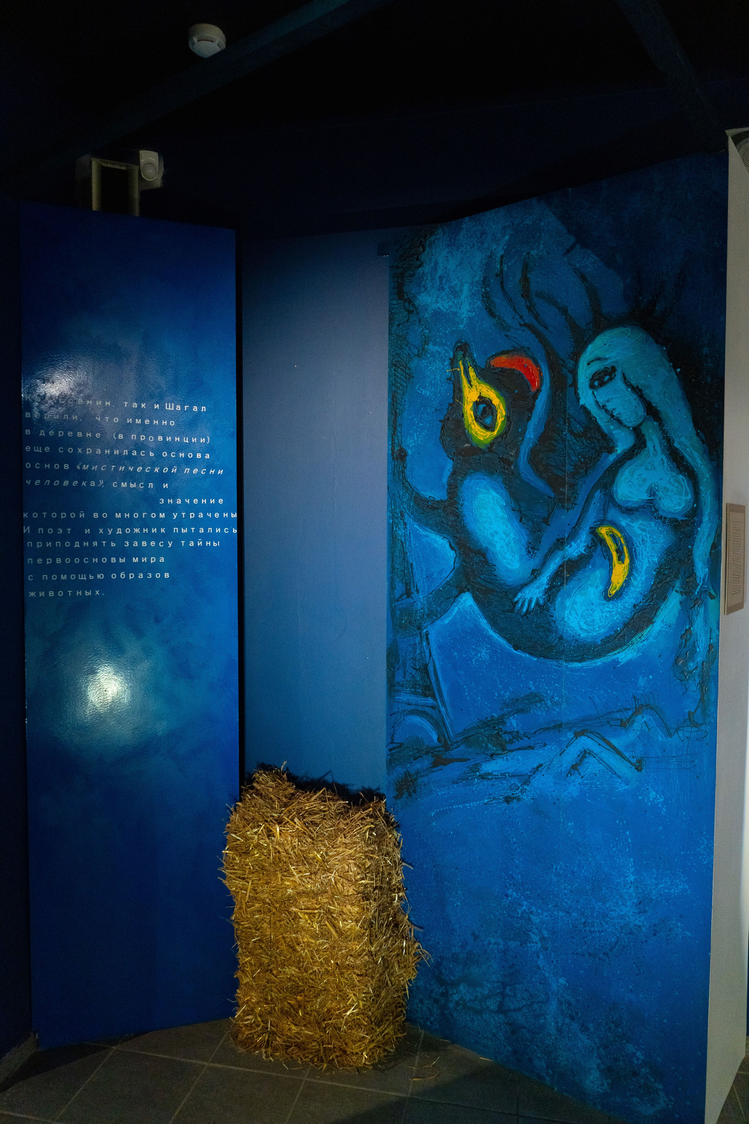 Есенин-центр Московского государственного музея С. А. Есенина. Профессиональный портретный фотограф в Москве Владимир Глаголев