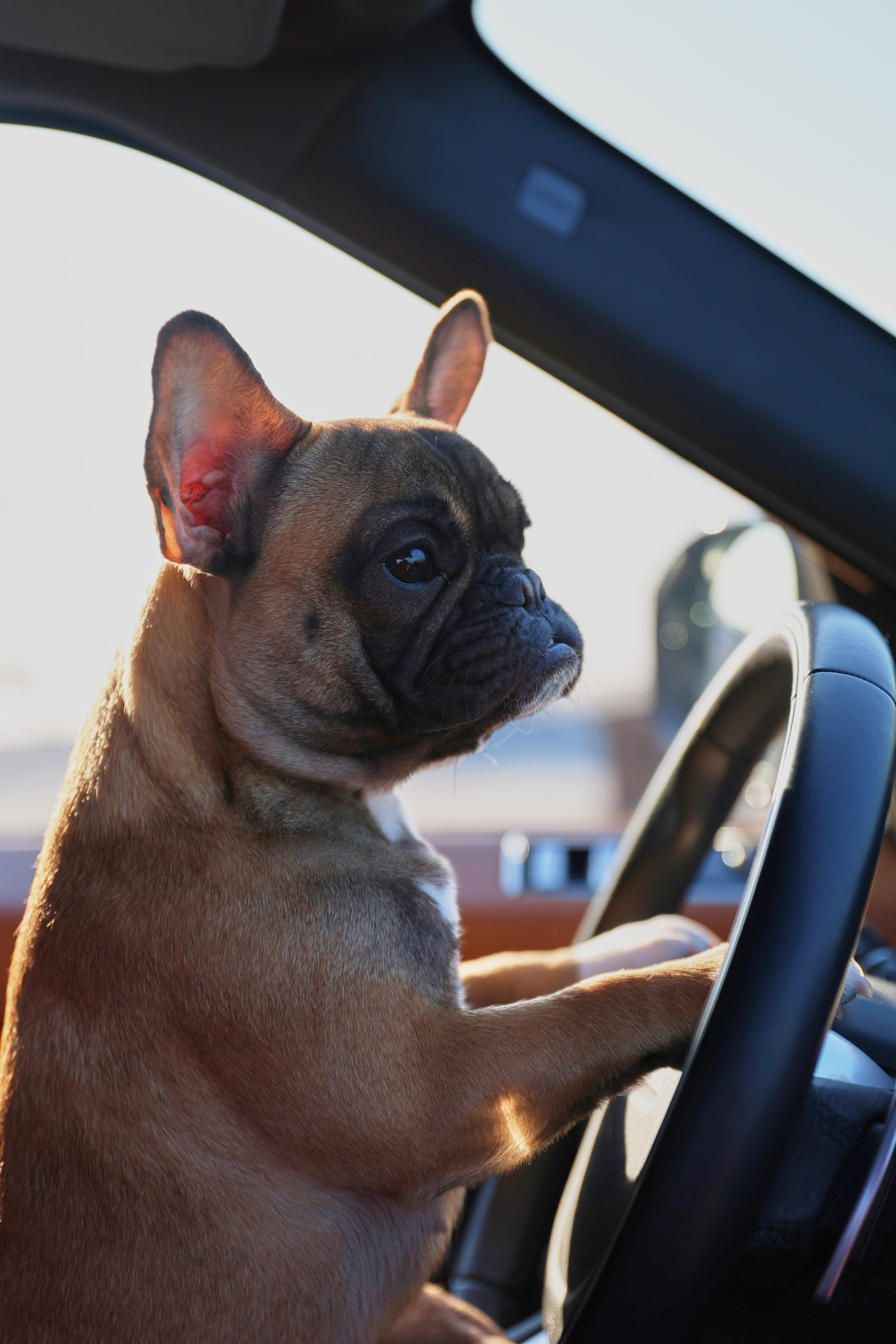 Прогулочные фотосессии. Фотограф Марина Калитина