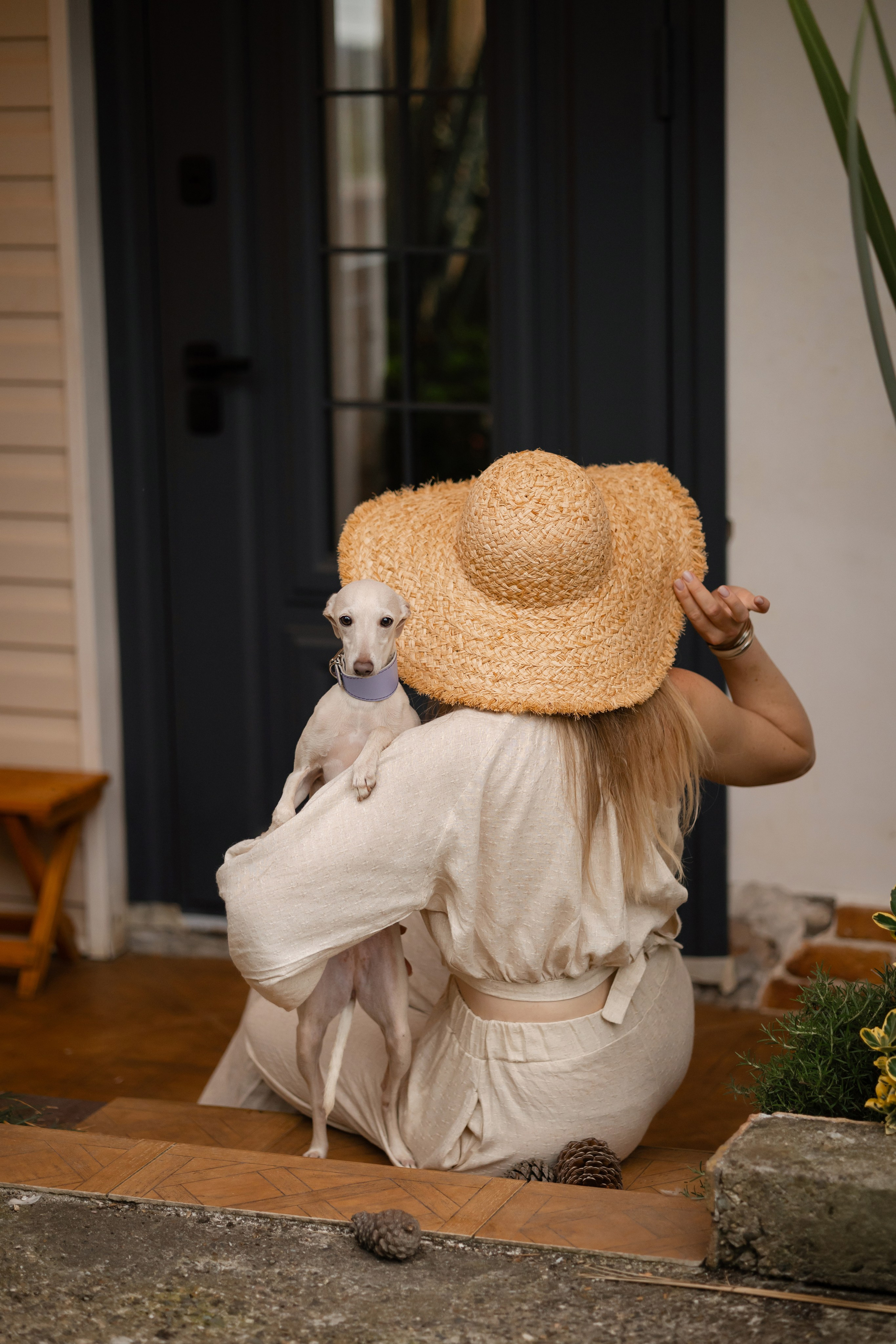 Asti Sapphire Yaasiina Laysan Cerulian. Профессиональный питомник левреток РКФ/FCI ASTI SAPPHIRE 💎 Сочи|Санкт-Петербург