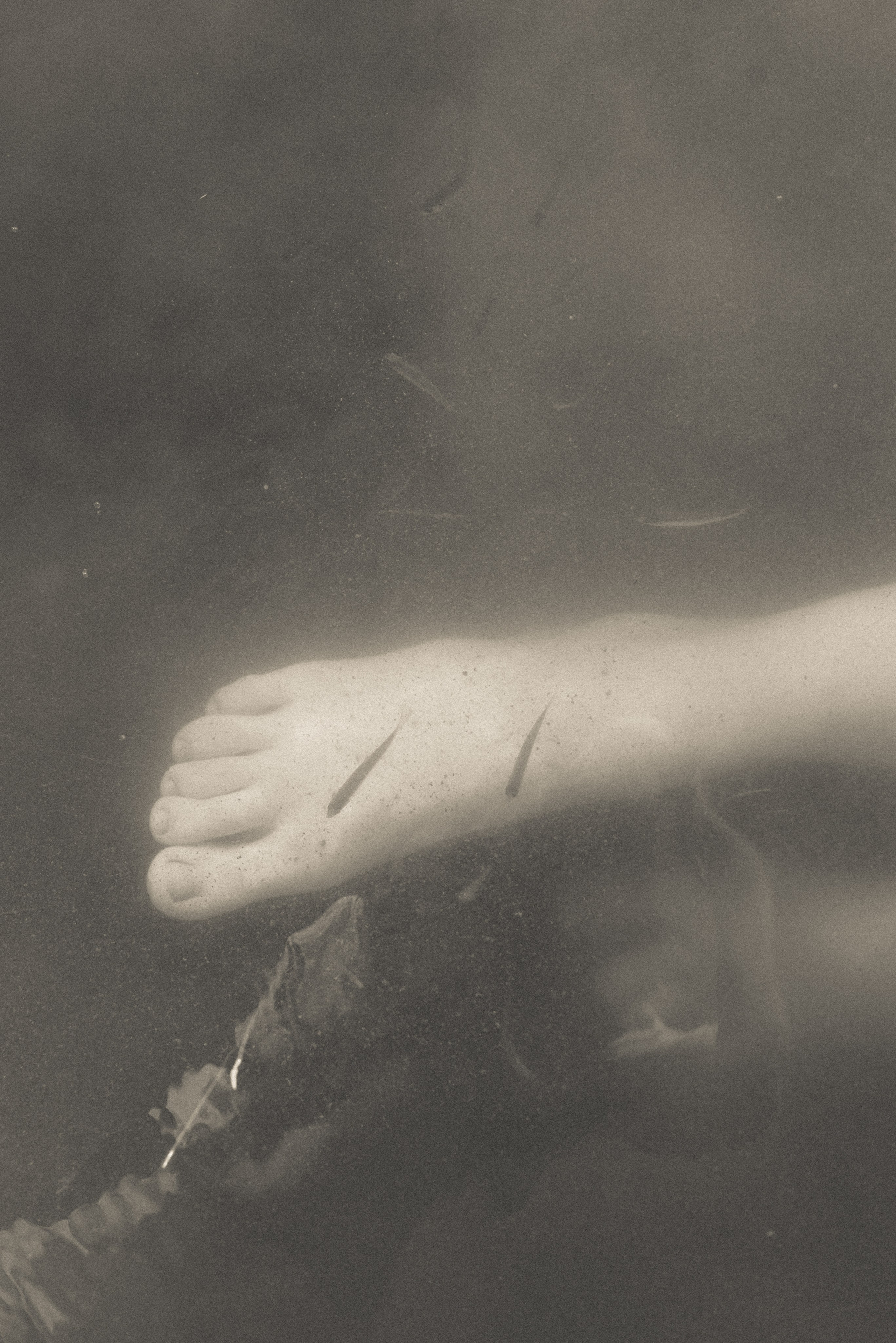 Мои дети. Детский и семейный фотограф в Новосибирске Саша Дорошенко