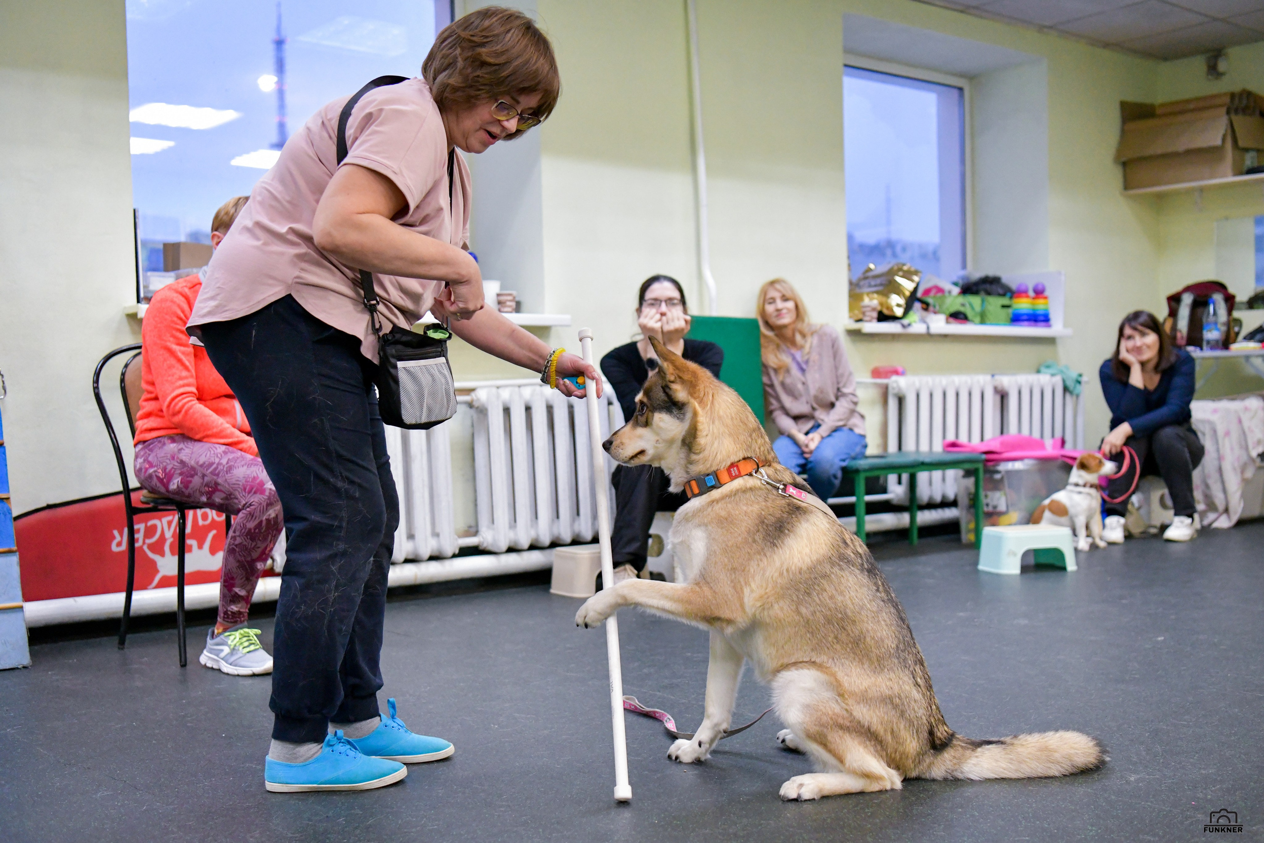 Кинологический клуб «Бодрый хвост». Свой взгляд через объектив