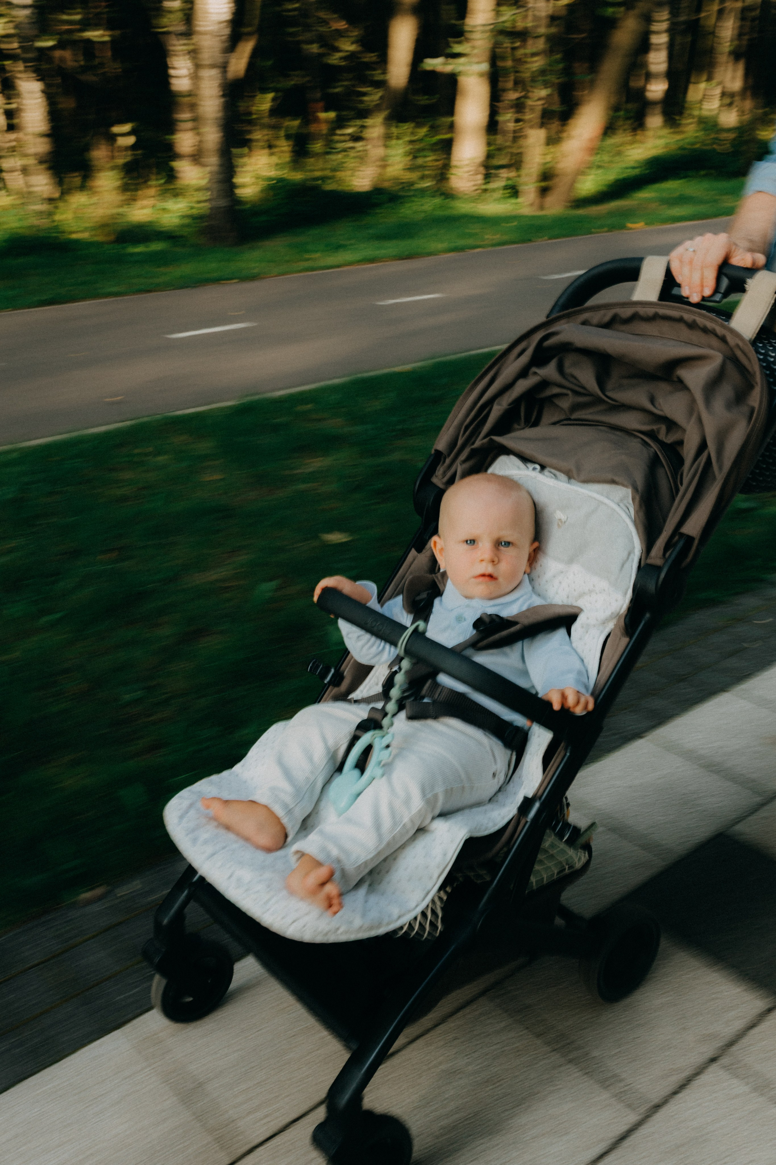 Пётр & Роберт. Фотограф НОГИНСК, Москва, Анастасия Белая