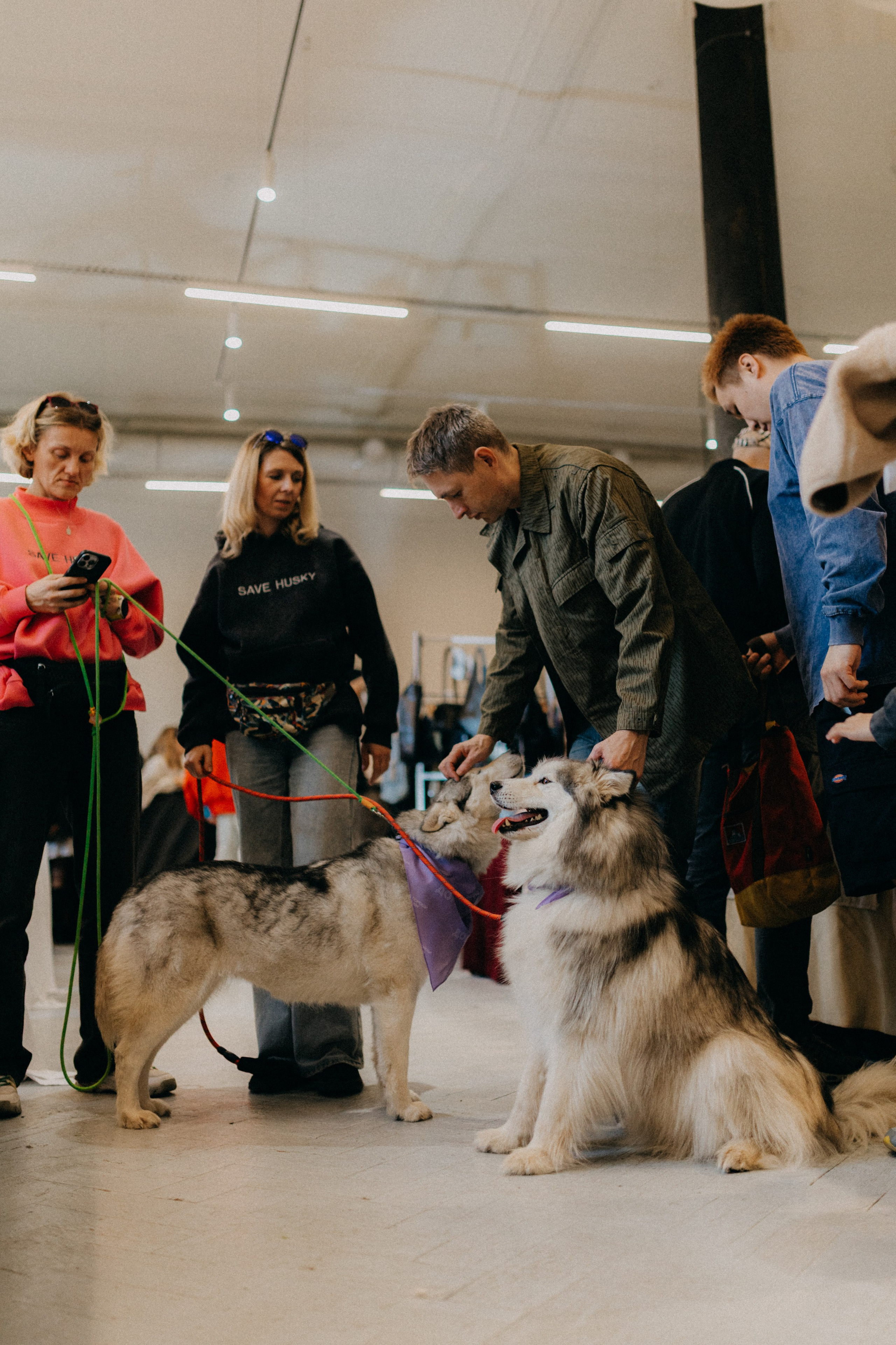 Маркет КИТЧ. Фотограф НОГИНСК, Москва, Анастасия Белая
