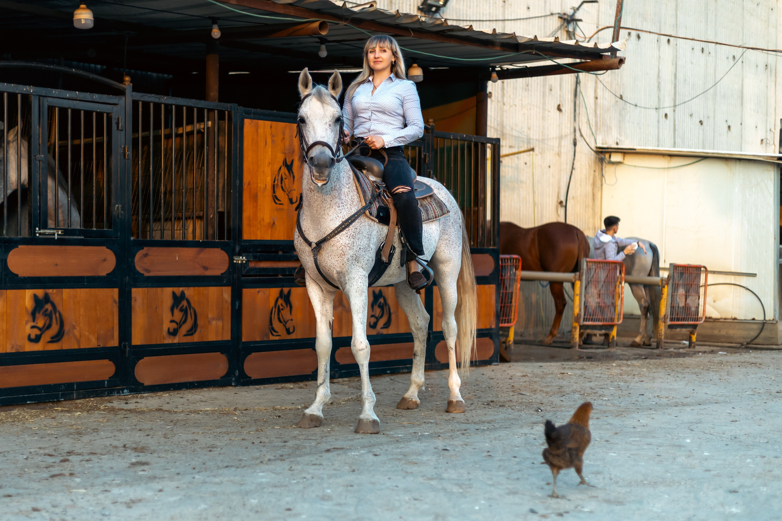 Анна и Амир. Семейный фотограф Израиль