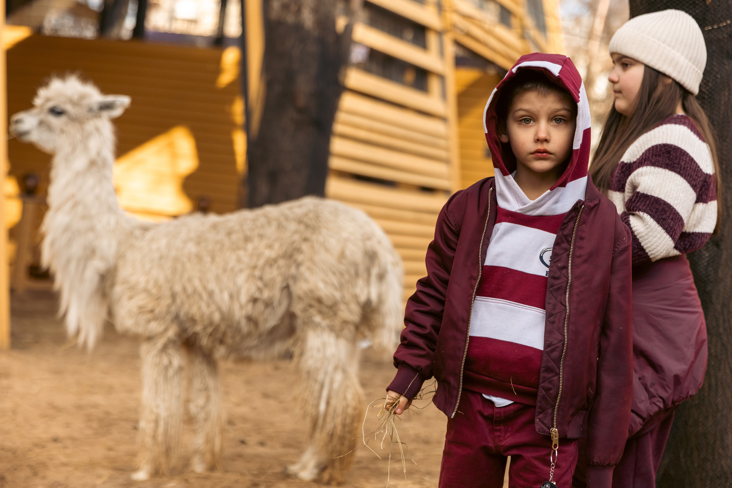 Zoo. Семейный фотограф Израиль