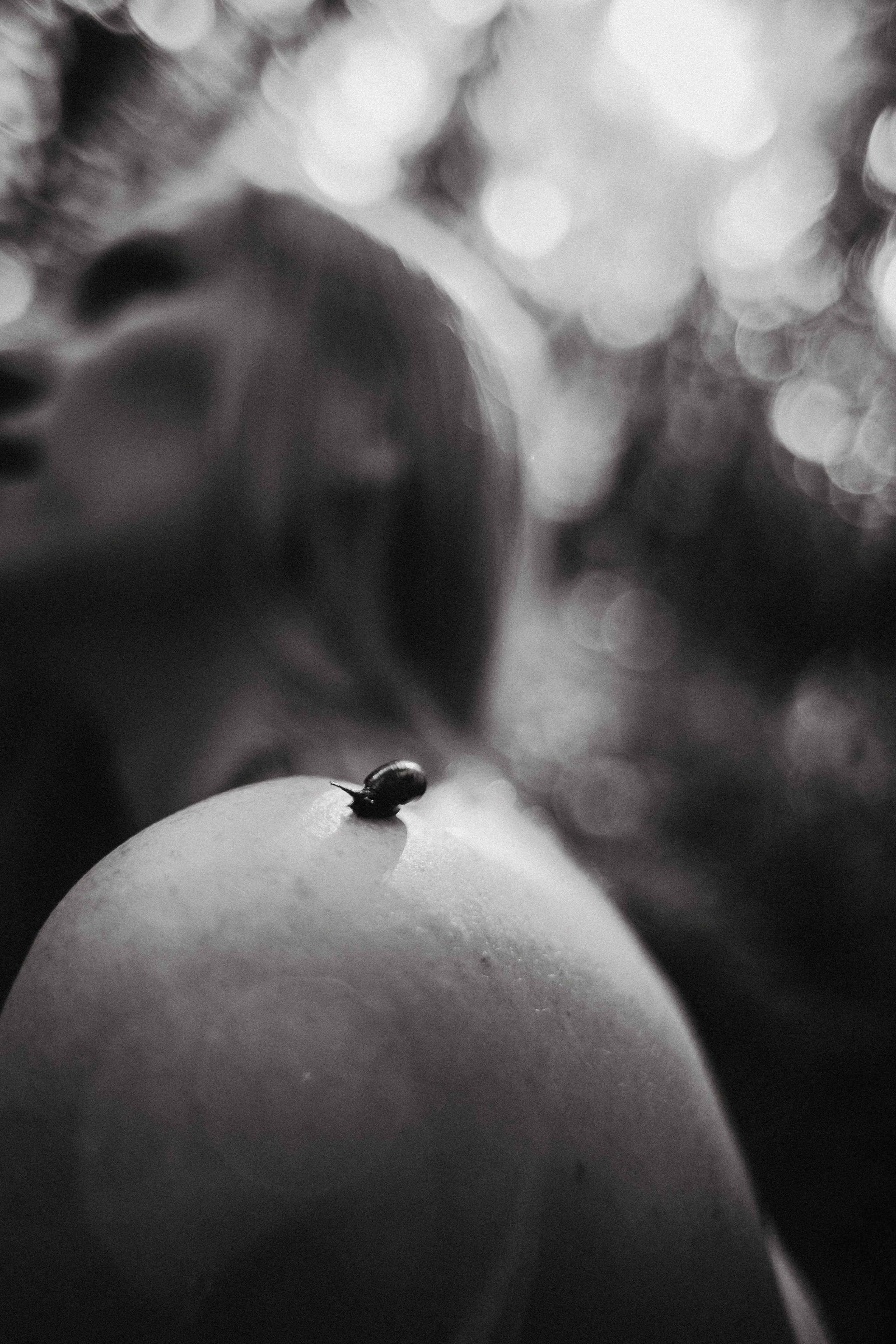 Ирина. Папоротник. Фотограф в Нижнем Новгороде