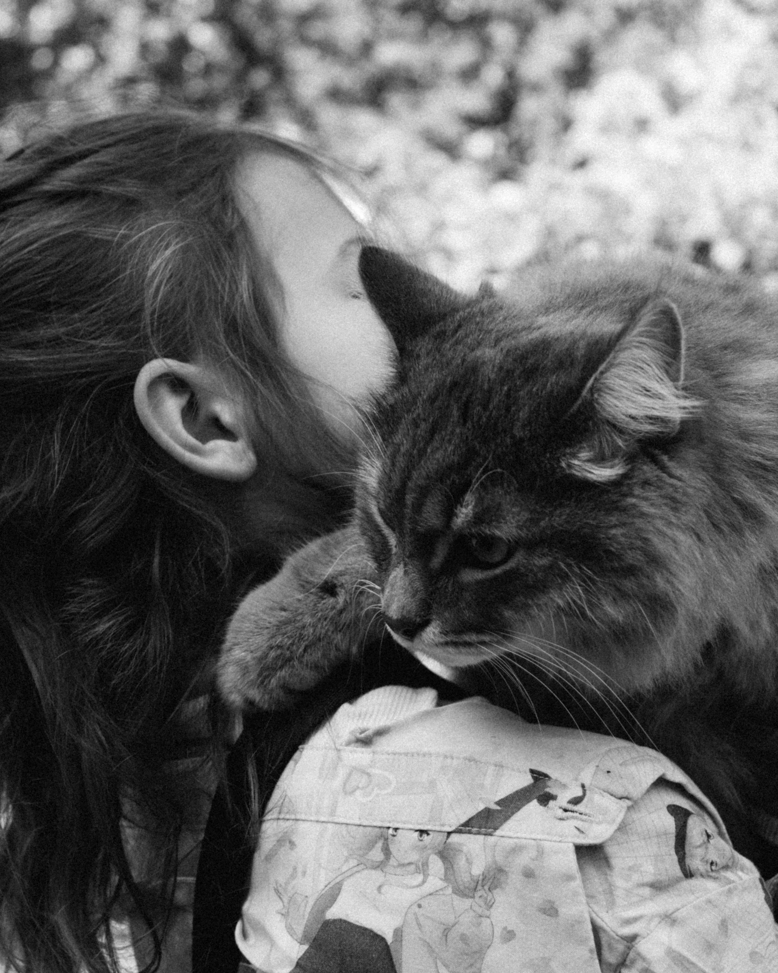 Истории. Главная