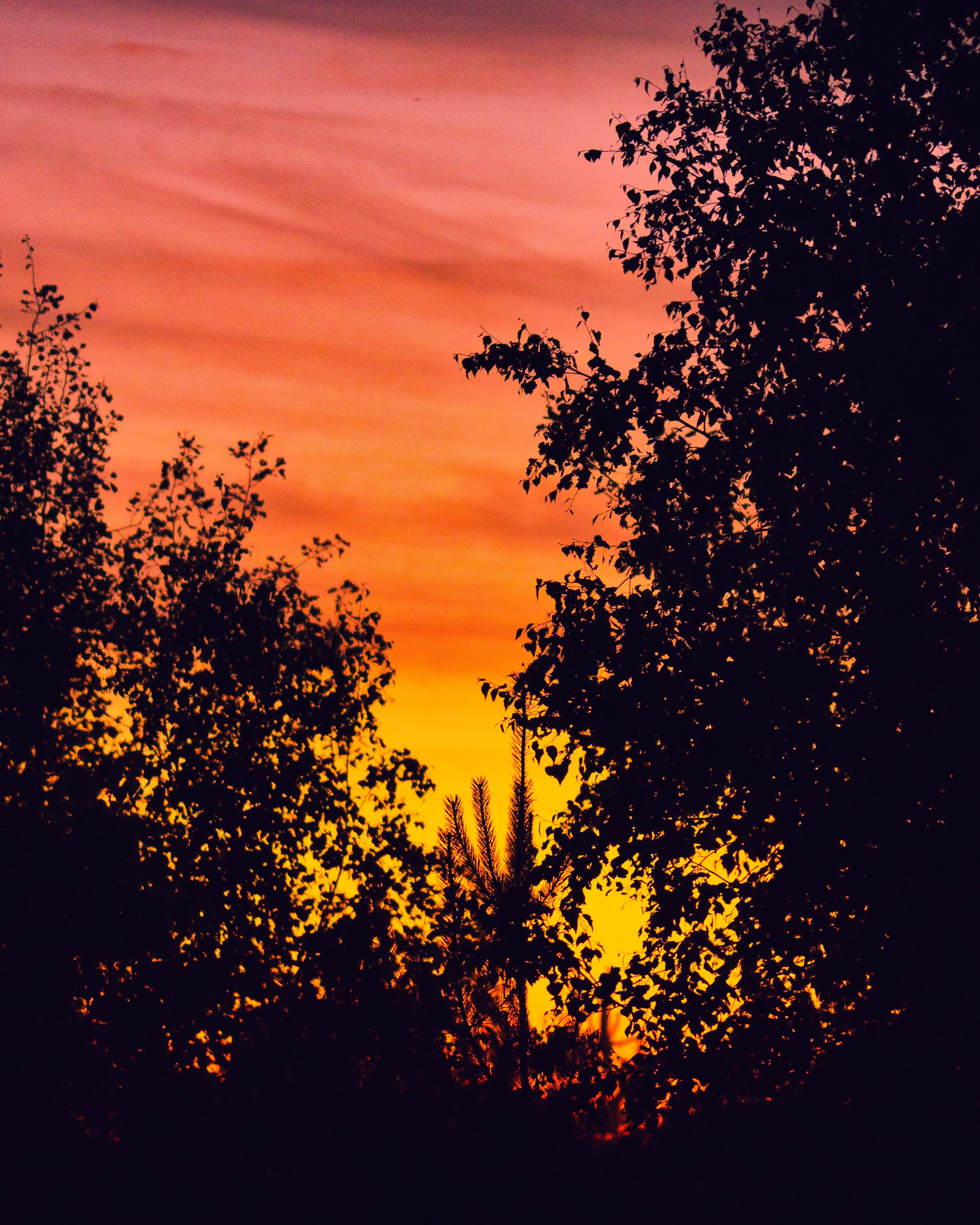 Стрит‑фото: жизнь города в кадре — реальные моменты. FM Media Сrew. Репортажные фото и видео