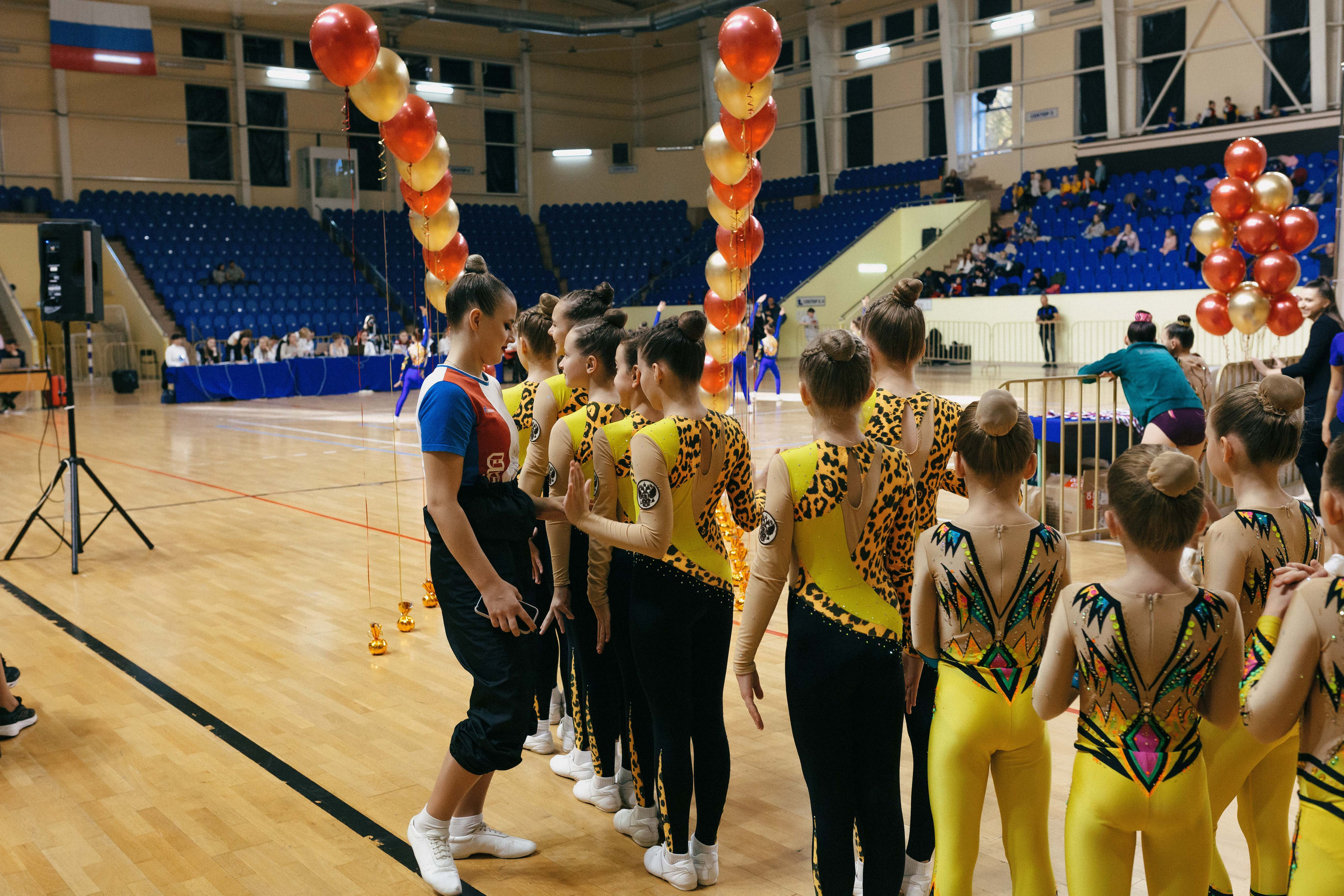 «Смоленские узоры» Чемпионат по спортивной аэробике. Спортивный фотограф Александр Васильев. RG и AGG