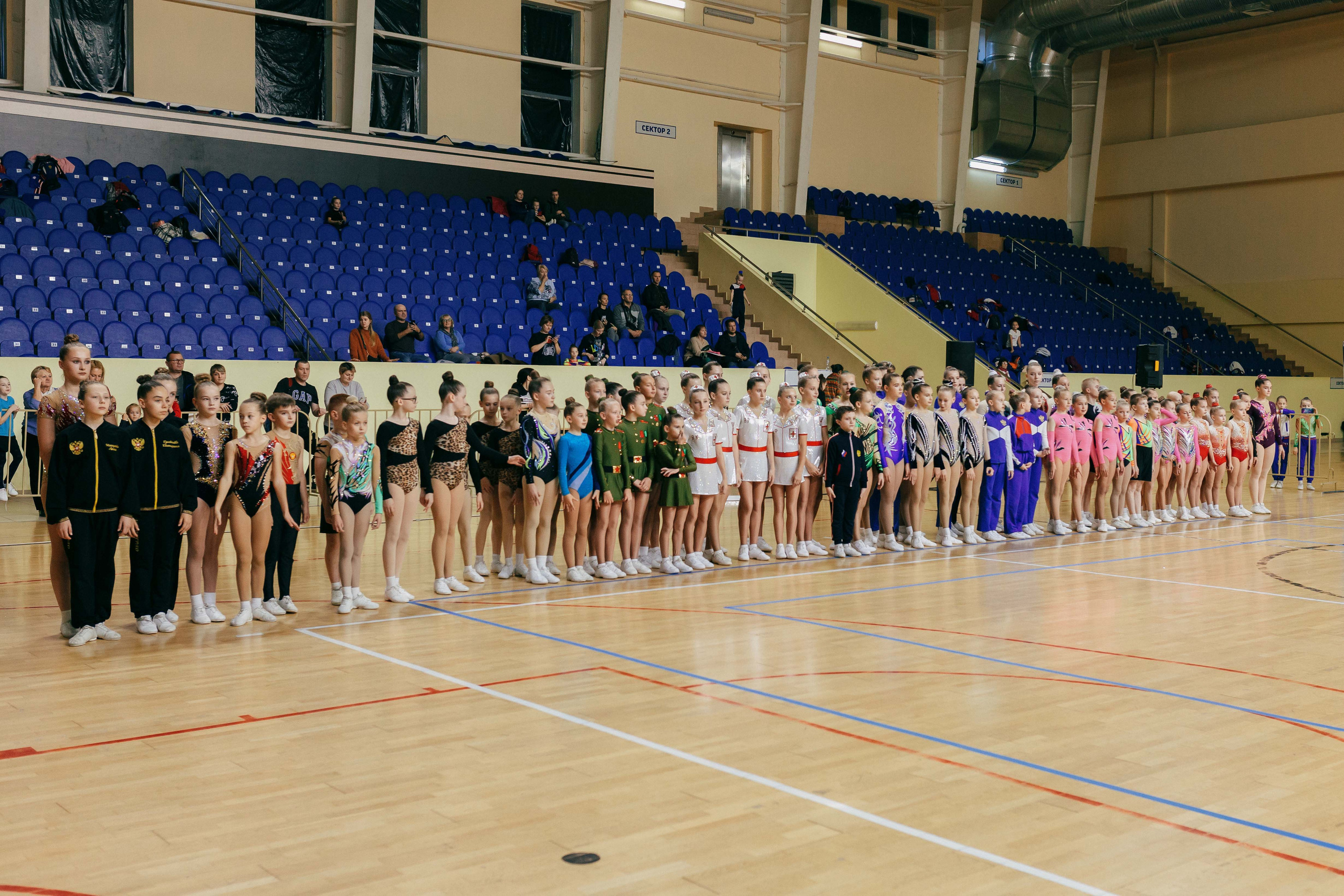 «Смоленские узоры» Чемпионат по спортивной аэробике. Спортивный фотограф Александр Васильев. RG и AGG