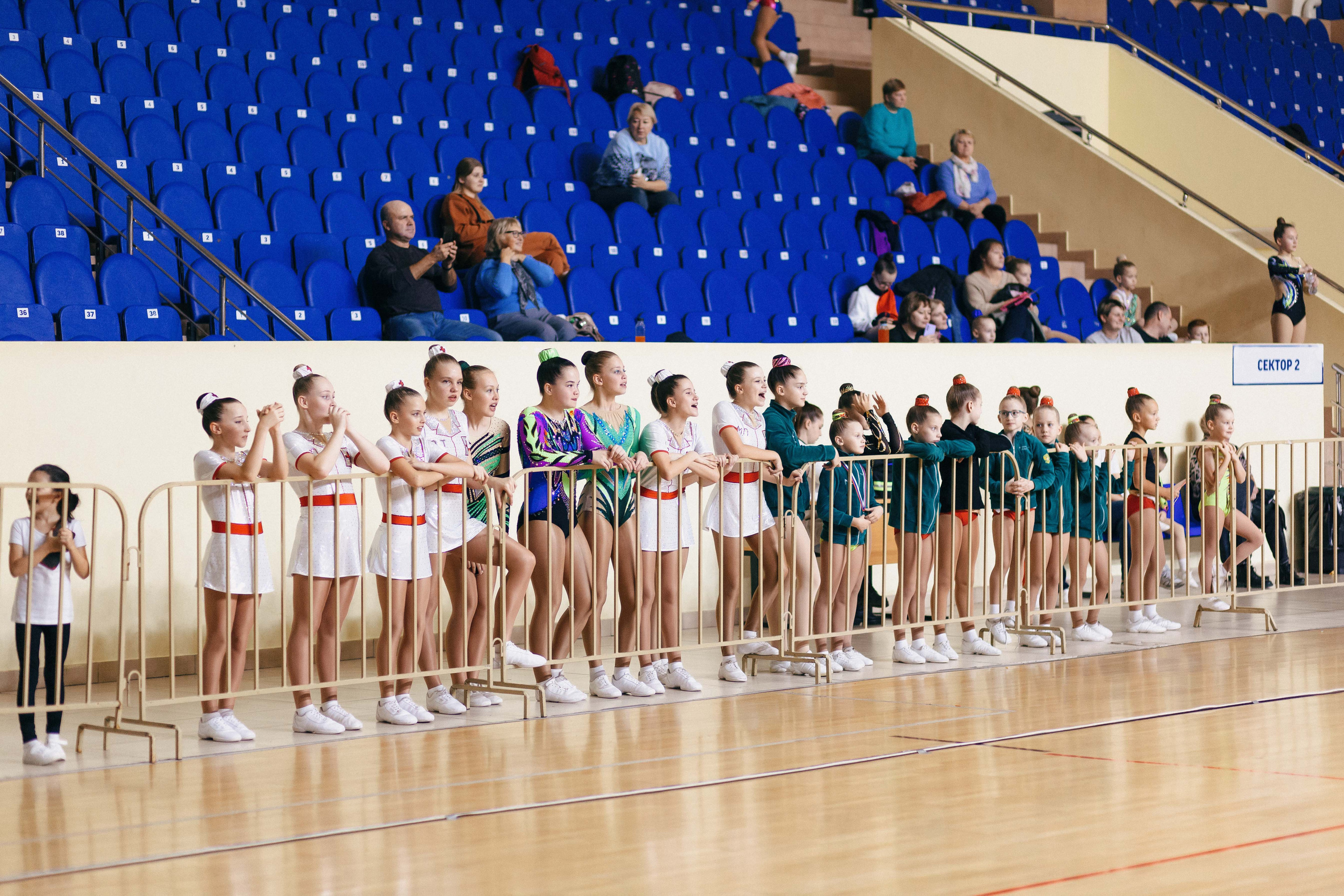 «Смоленские узоры» Чемпионат по спортивной аэробике. Спортивный фотограф Александр Васильев. RG и AGG