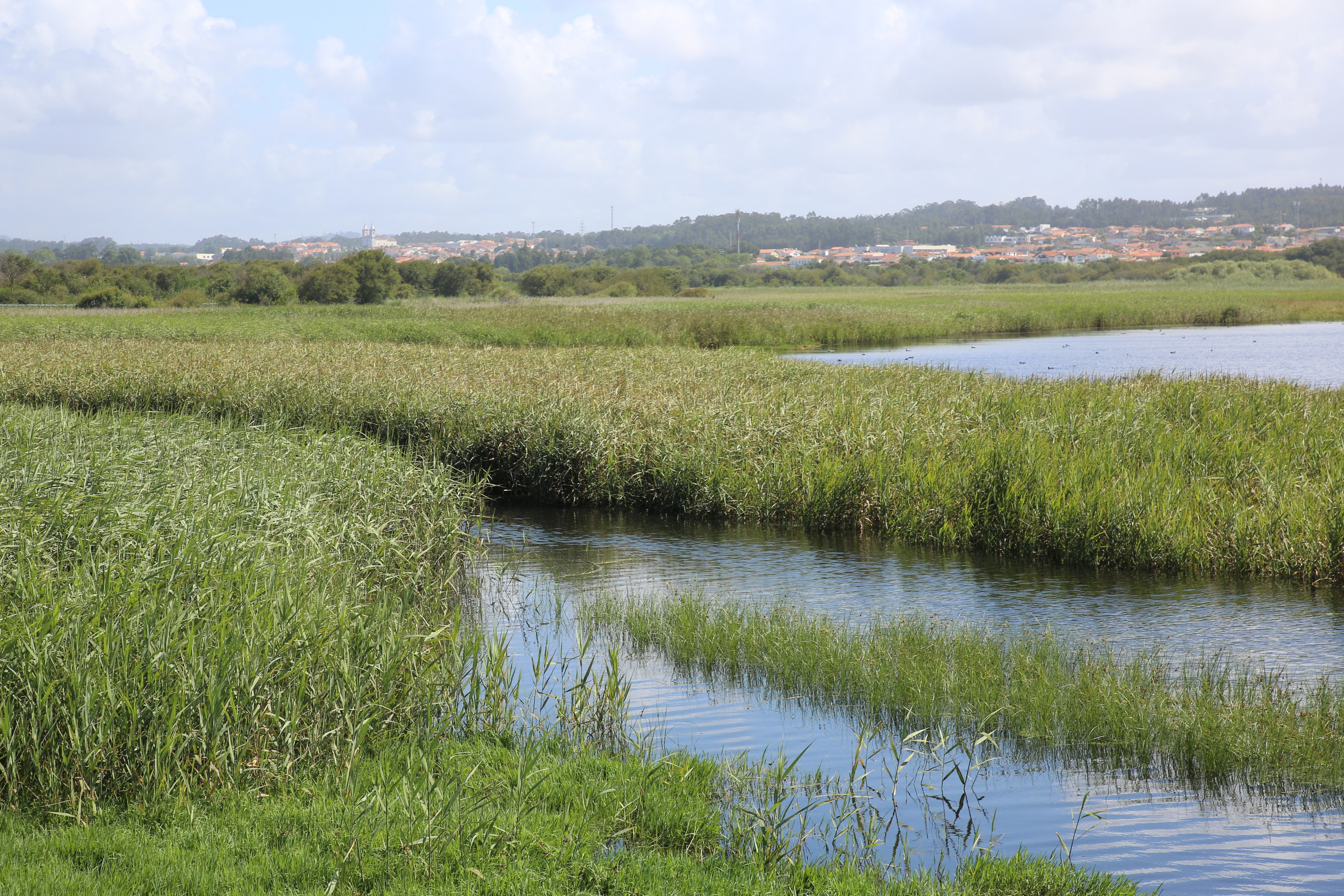 Esmoriz, Portugal. Andrey Filippov Photographer