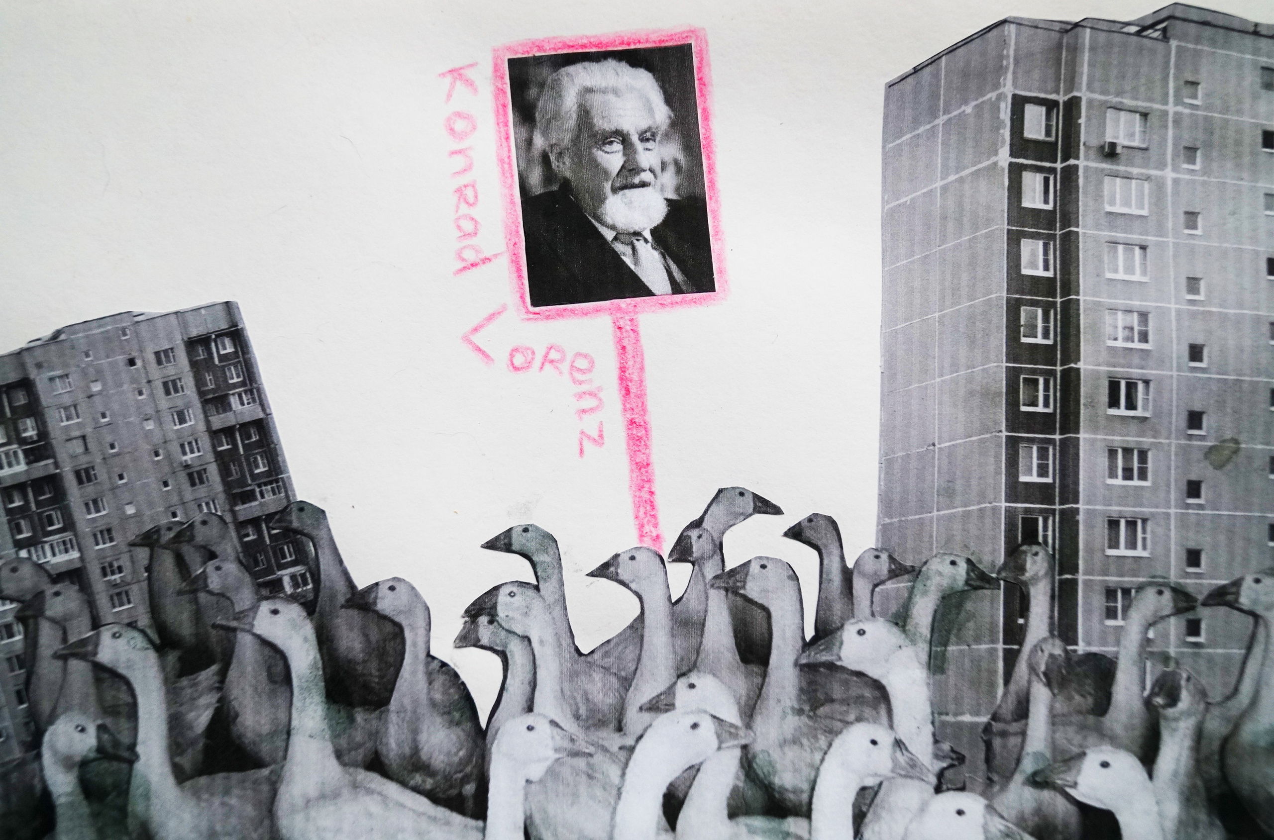 Скрытые фигуры 22.11 — 22.12.2021