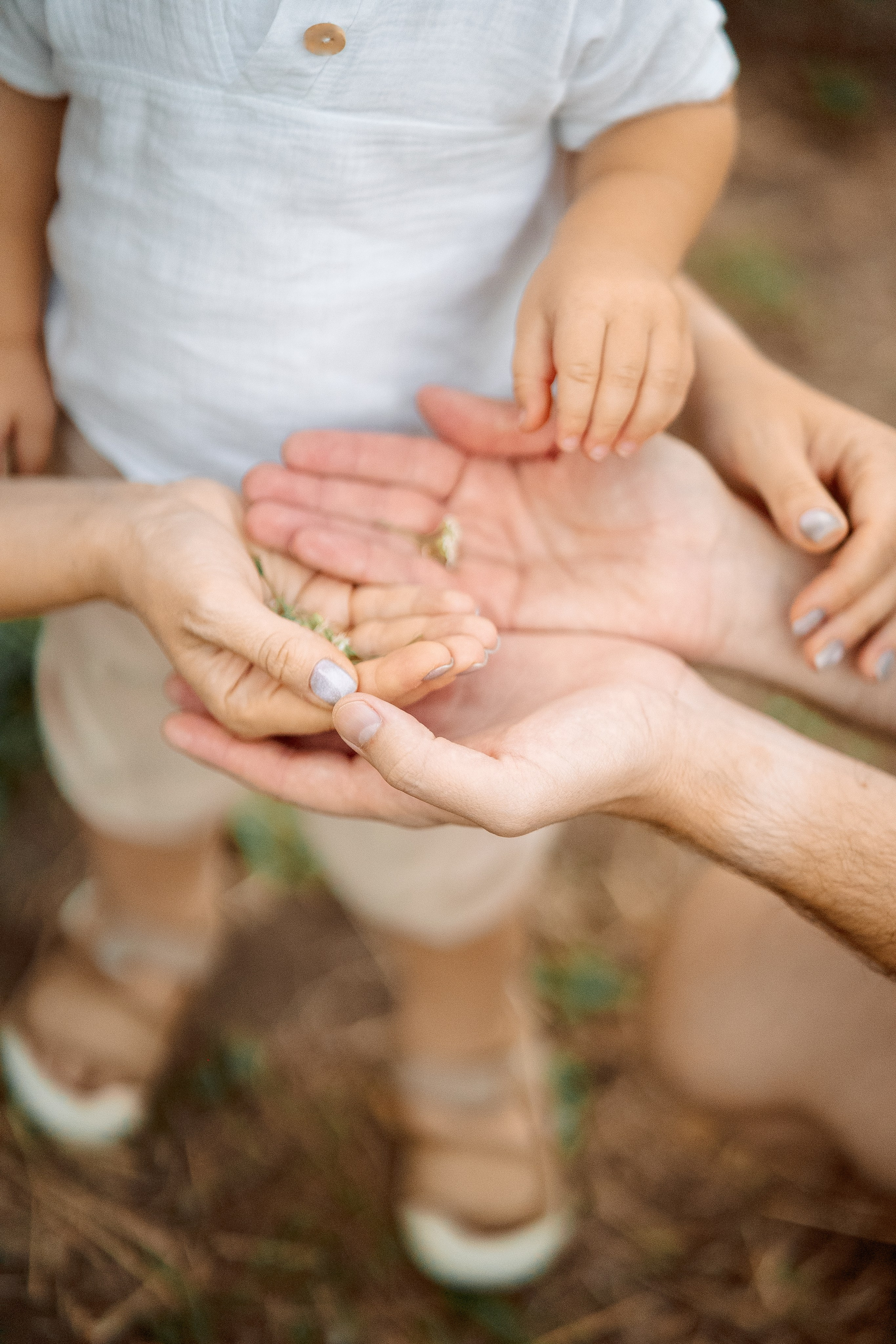 Ботанический сад. Фотограф Мария Зайчик