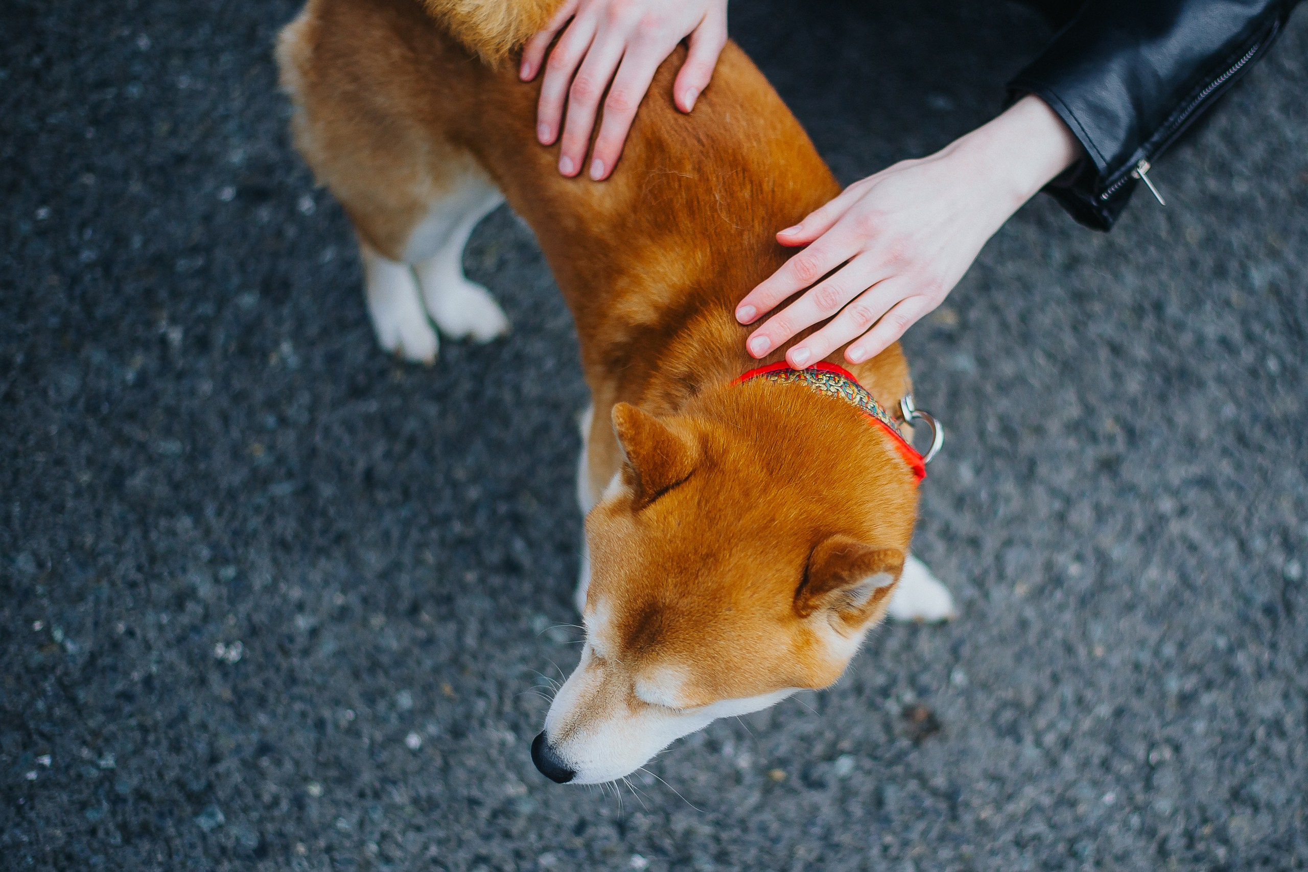 2025.05.04 — КСКГ Классика — 1 этап. Репортажный фотограф в Кемерово