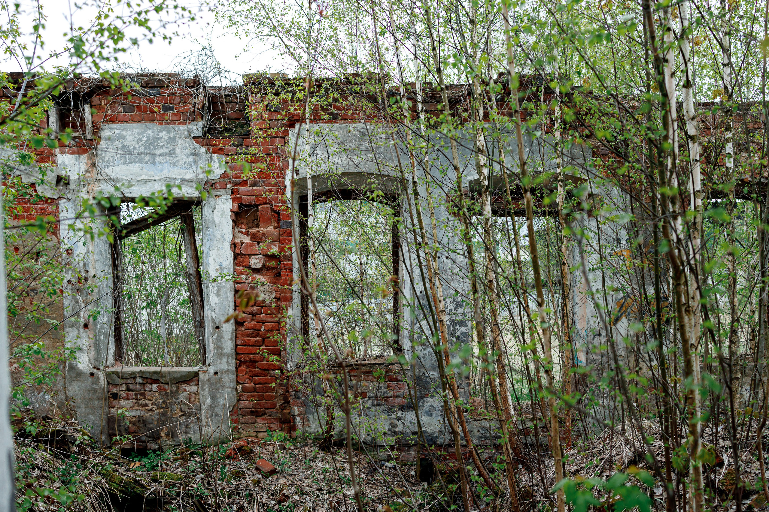Непривычная фотография. Репортажный и портретный фотограф в Москве Саханцева Анна