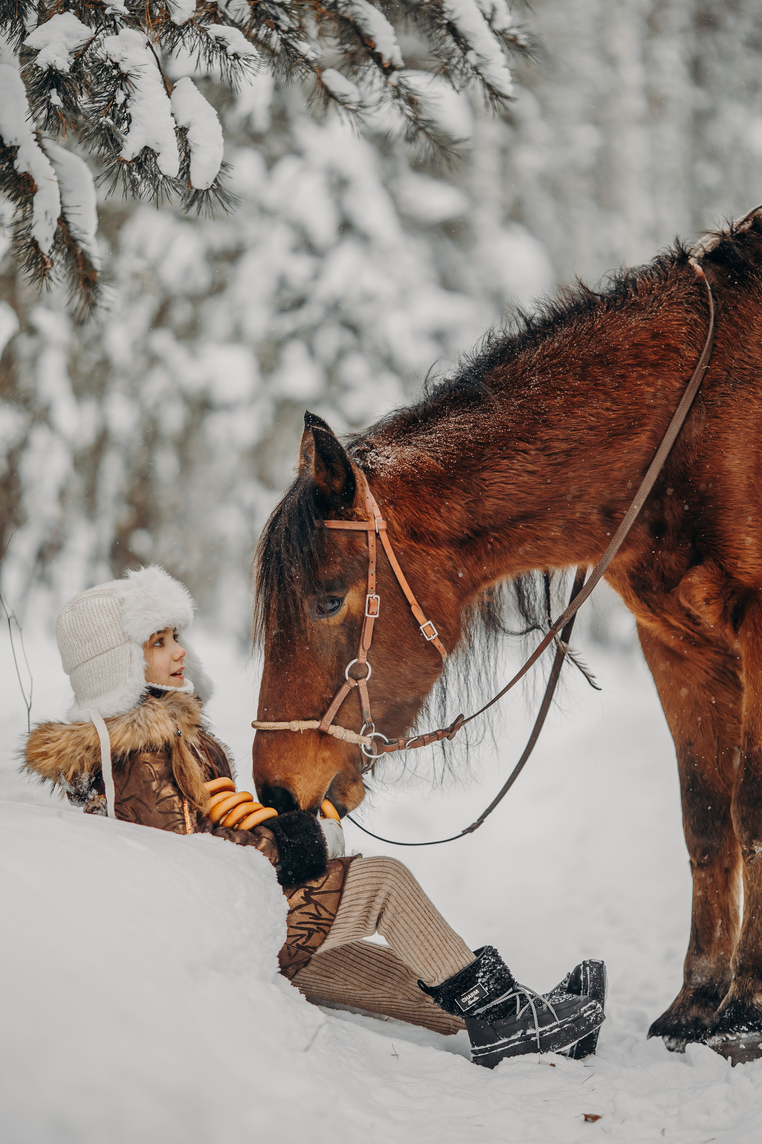 Тоша и баранки. Анна Молчанова конный фотограф в Тюмени | фотосессии с лошадьми Тюмень
