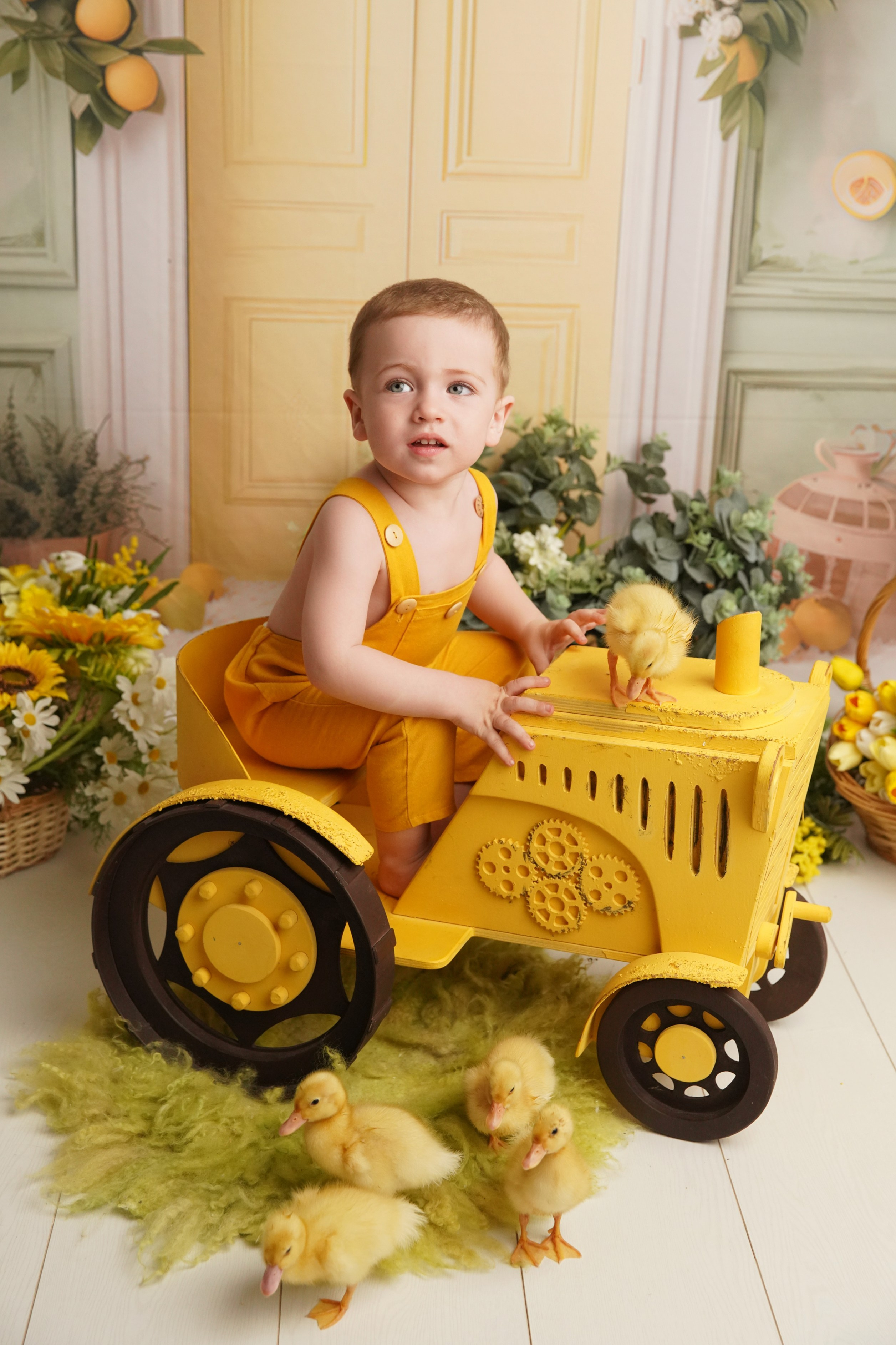 Утята. Фотограф новорожденных. Семейный и детский фотограф в городе Сургуте